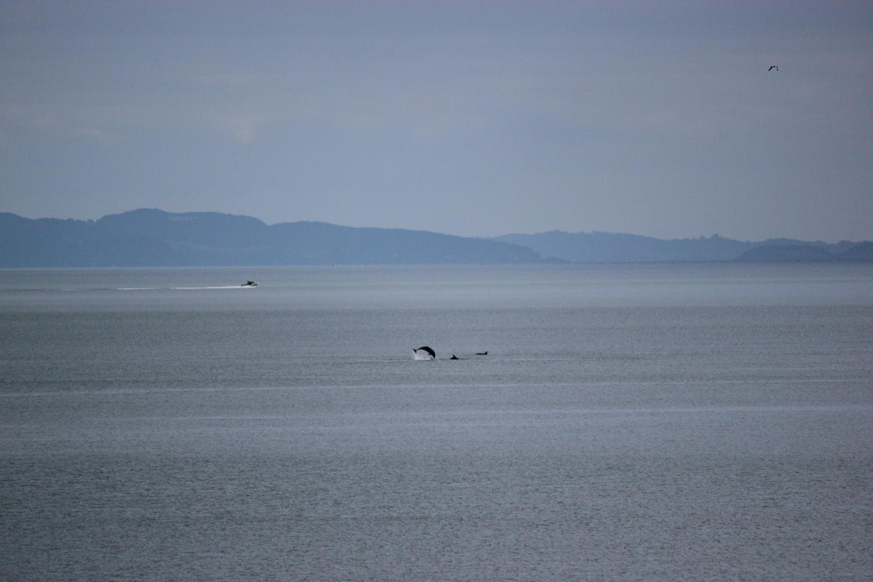 Te Mata Bay Seaviews view 4