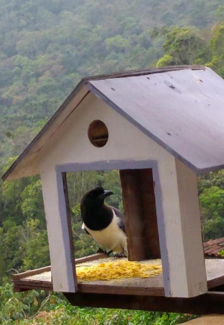 Casa Sossego da Montanha