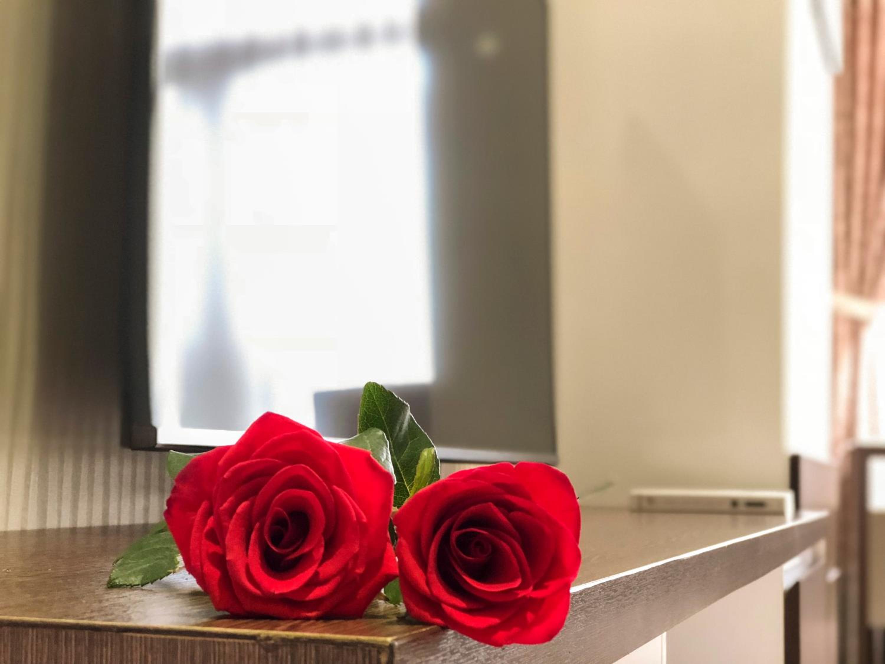 Sunny Serviced Apartment