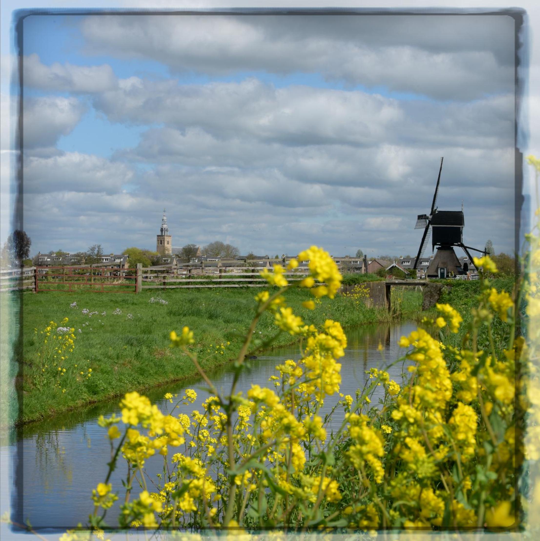 Photo 45