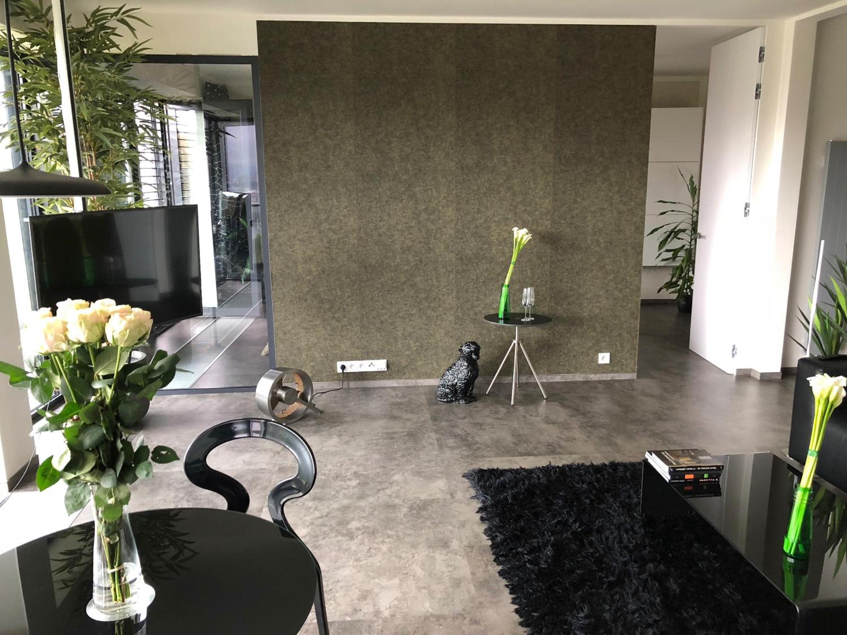 Amazing Apartments view 3