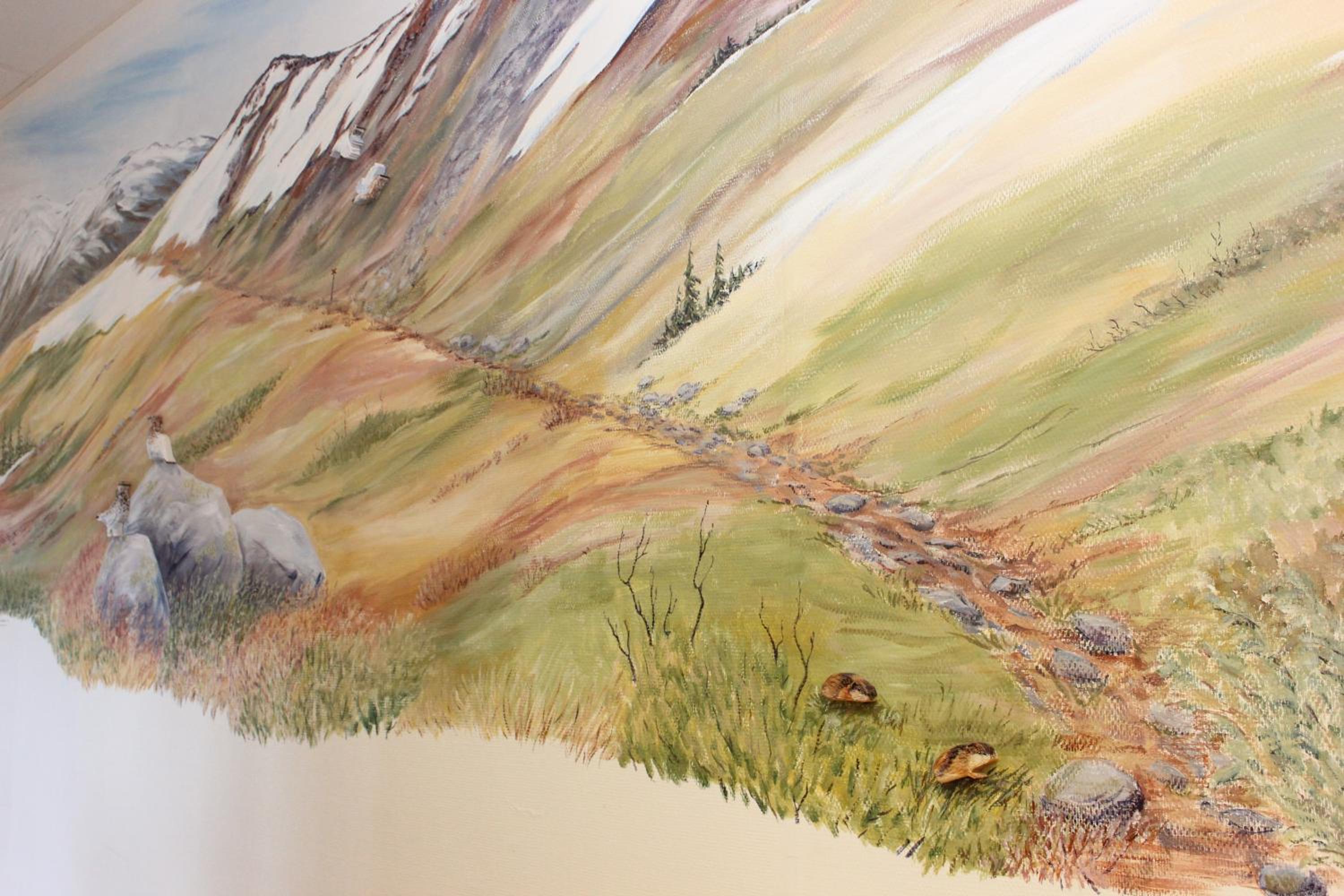 Photo 47