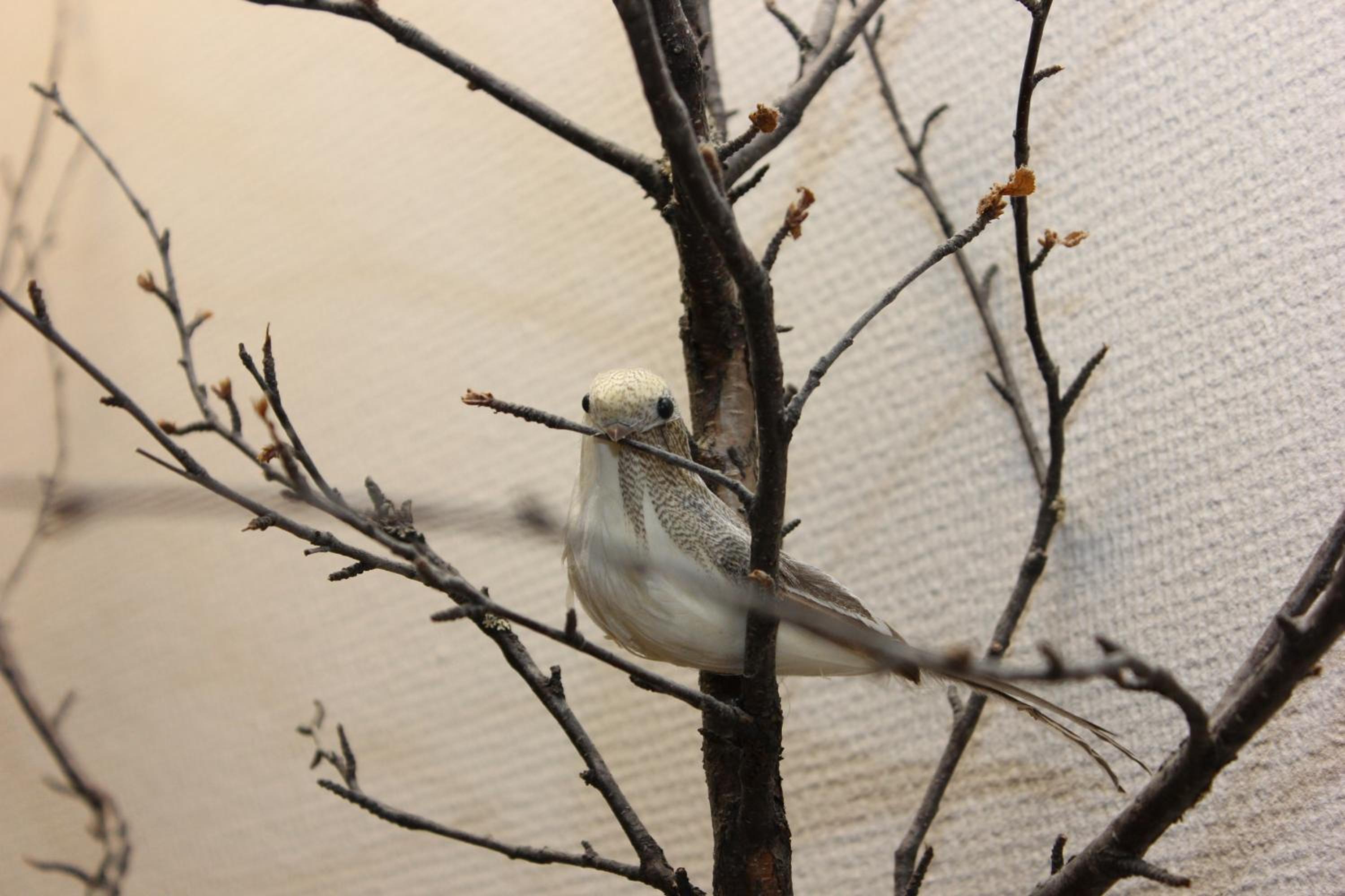 Photo 46