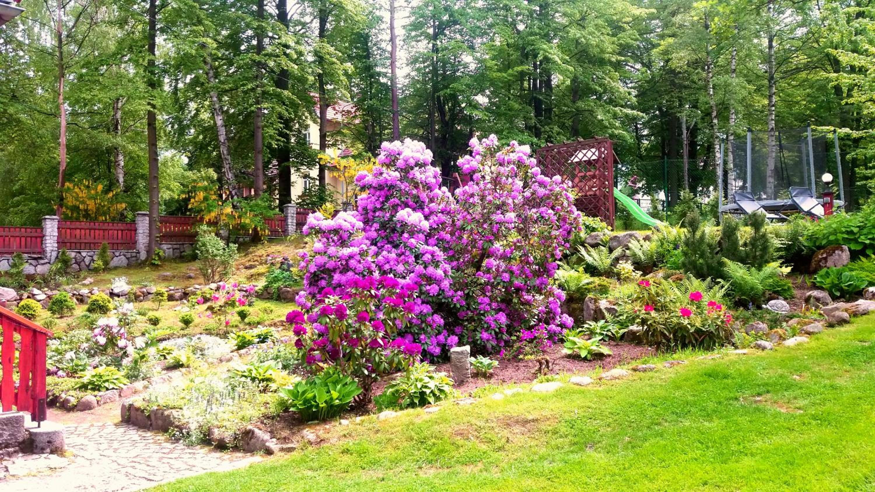 Photo 26