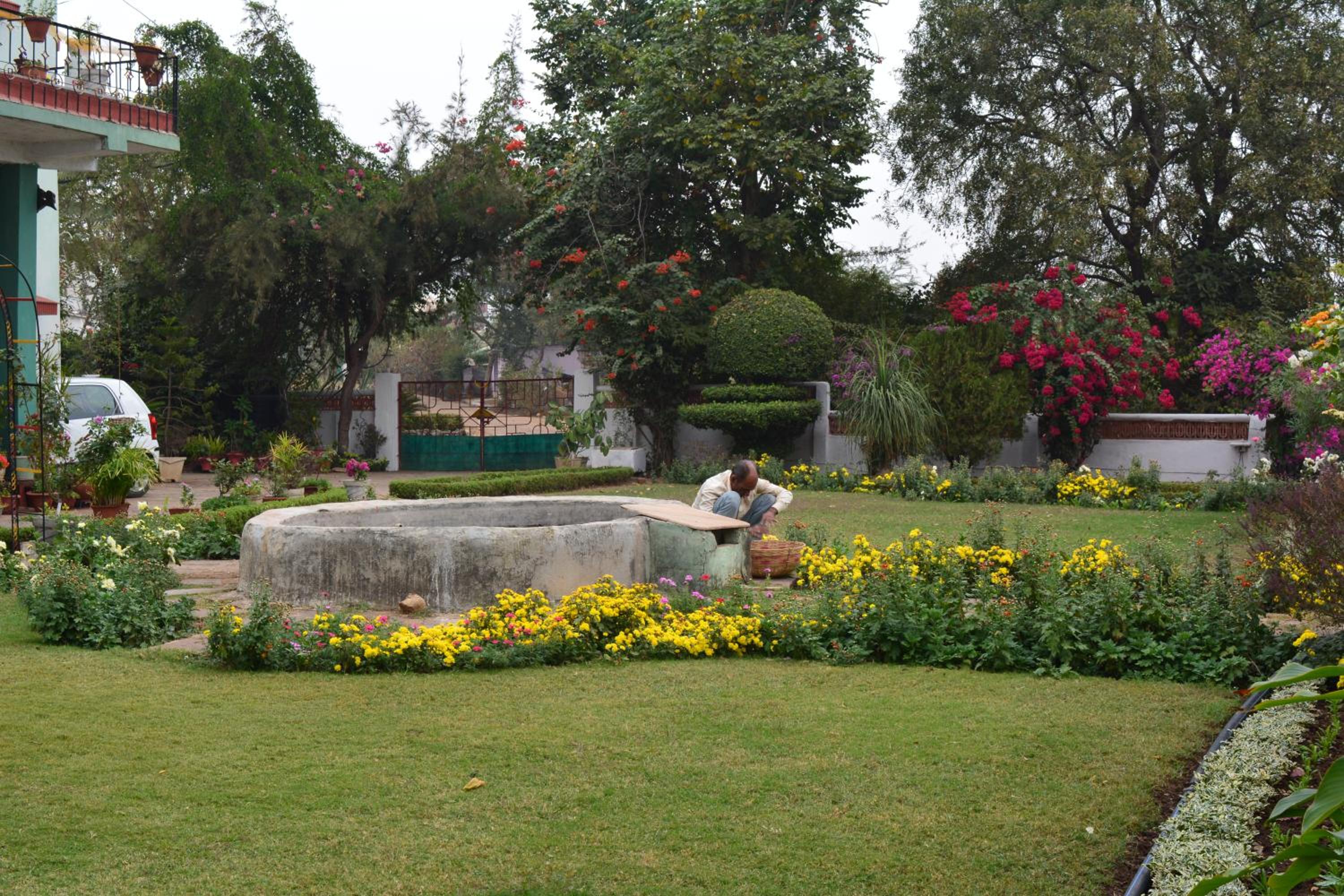 Photo 17