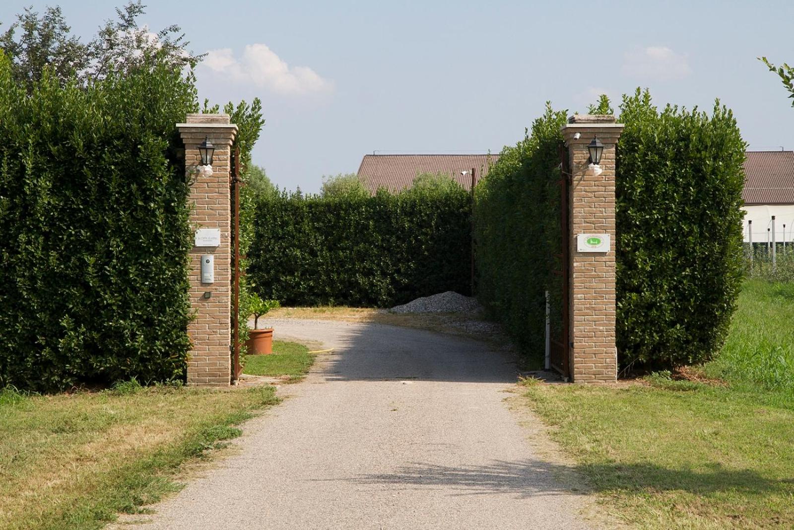Photo 40