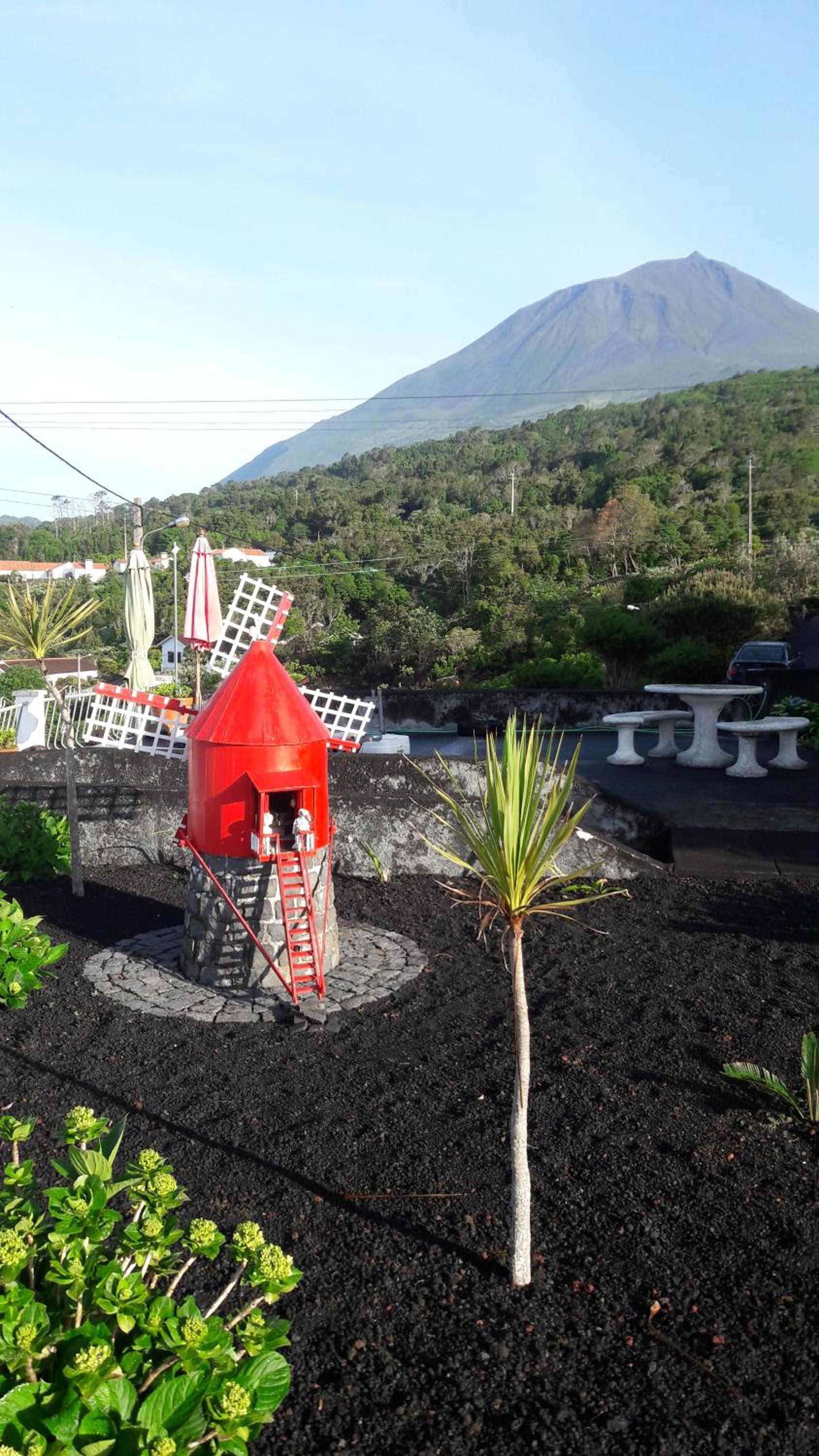 Miradouro da Papalva Guest House - Pico - Azores view 5