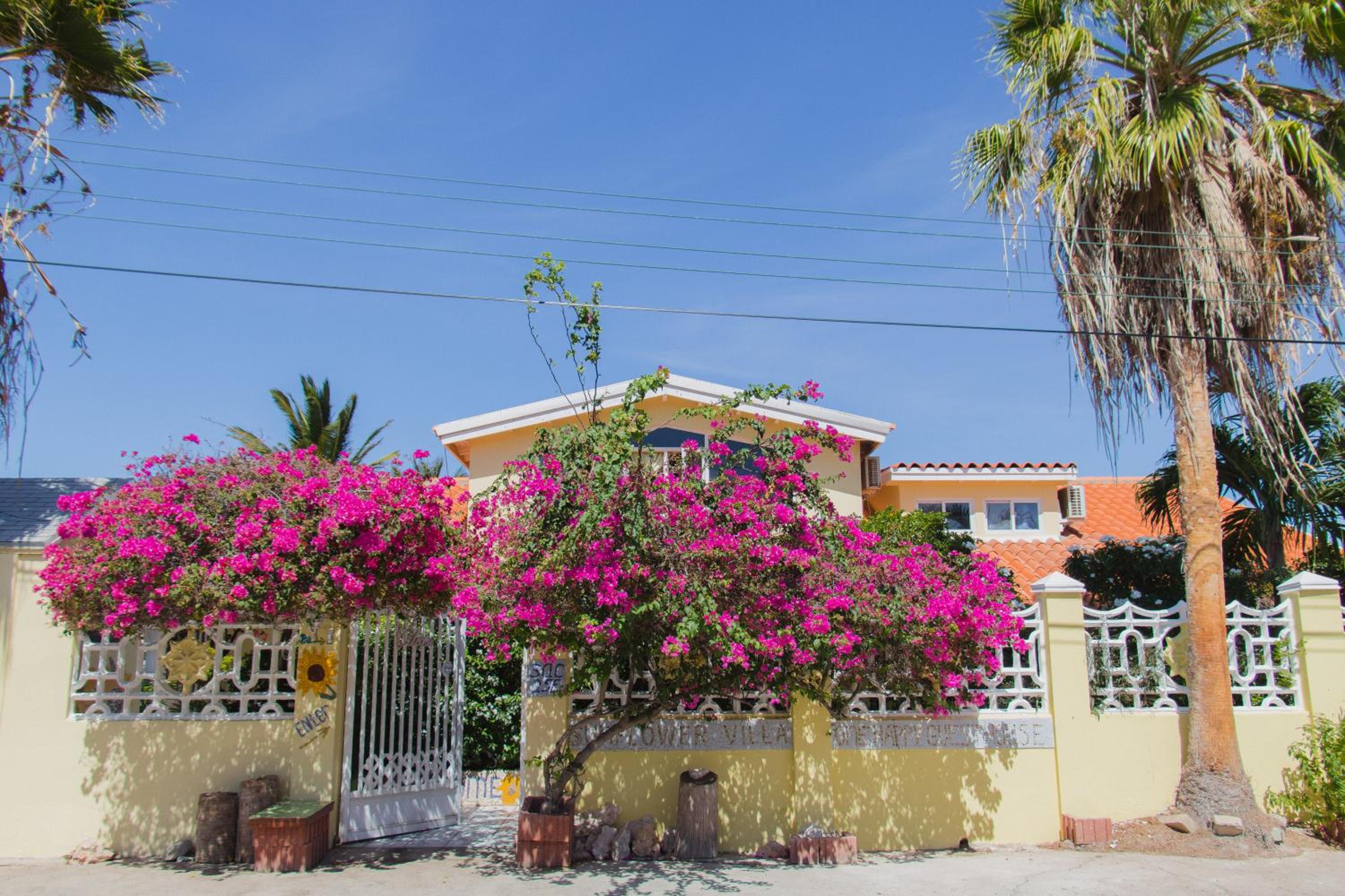 Sunflower Villa Studios