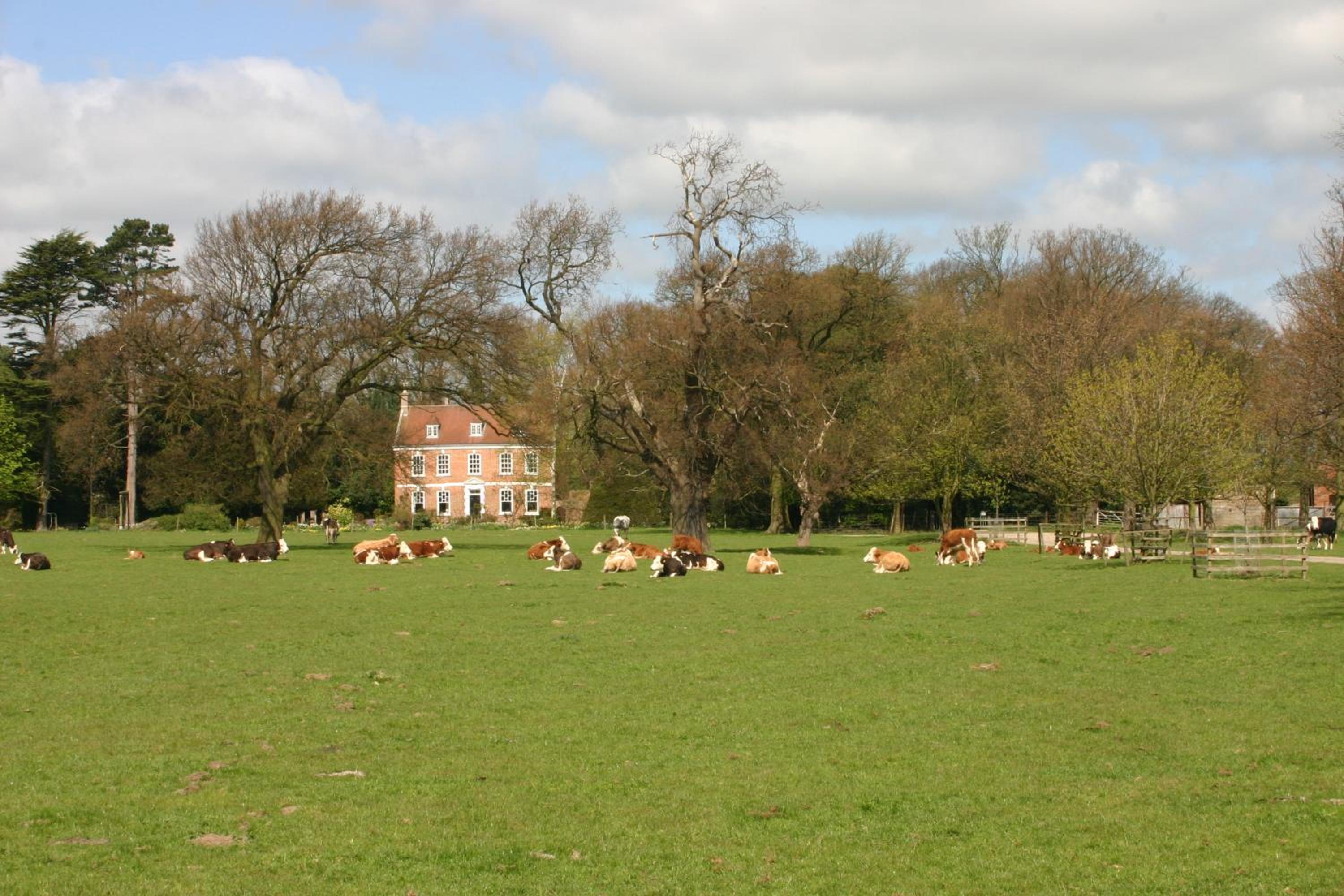 Brackenborough Hall Coach House - Stables view 4