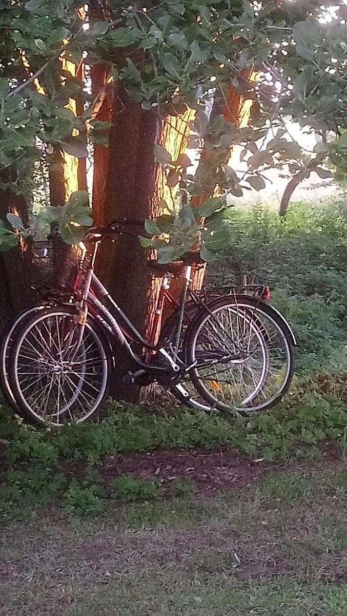 Hotel Ejagården B&B en suite - Image 1