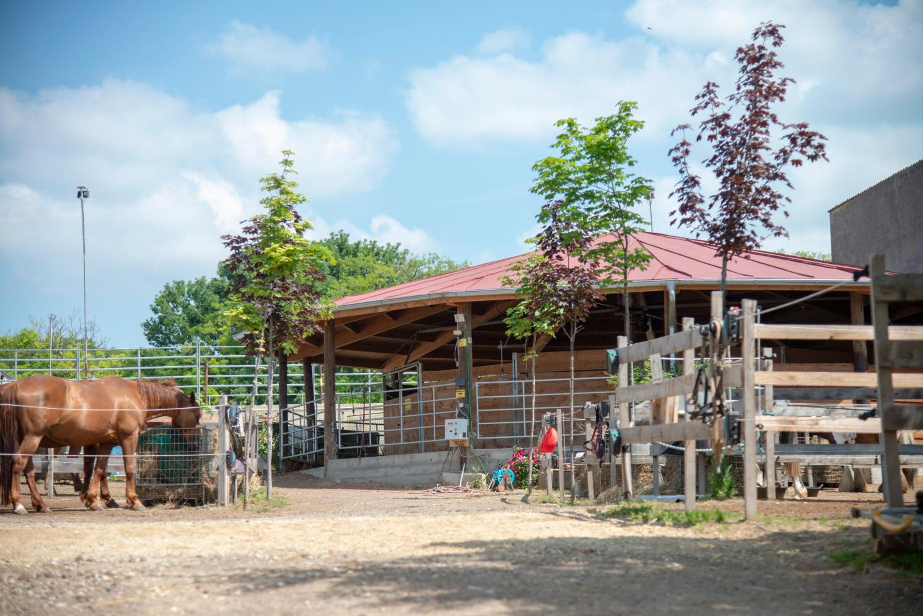 Ranchzimmer am Hippo-Campus Reit- und Therapiezentrum