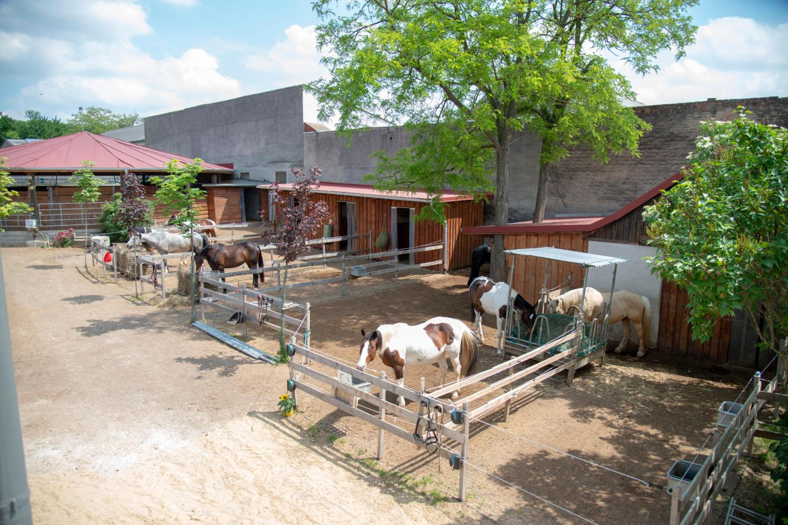 Ranchzimmer am Hippo-Campus Reit- und Therapiezentrum