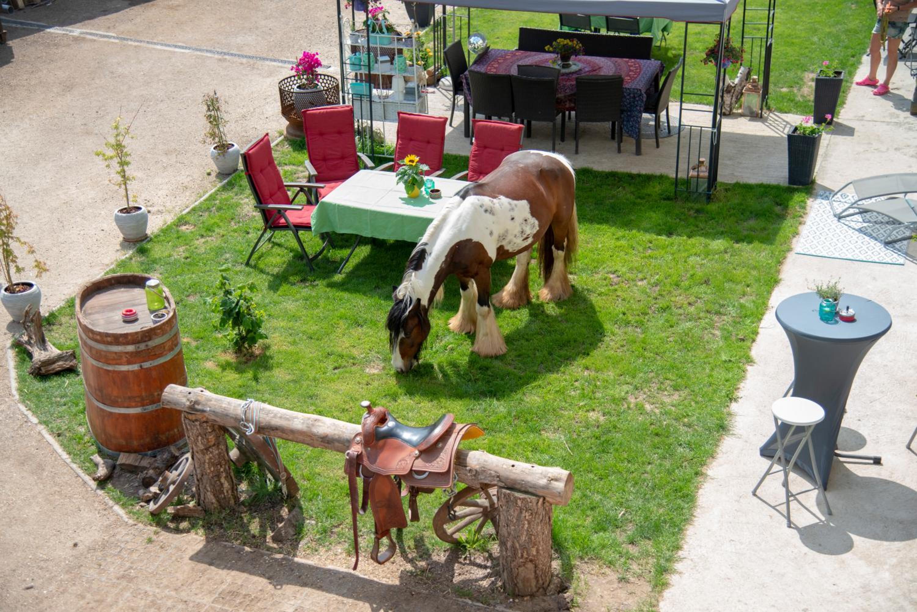 Ranchzimmer am Hippo-Campus Reit- und Therapiezentrum