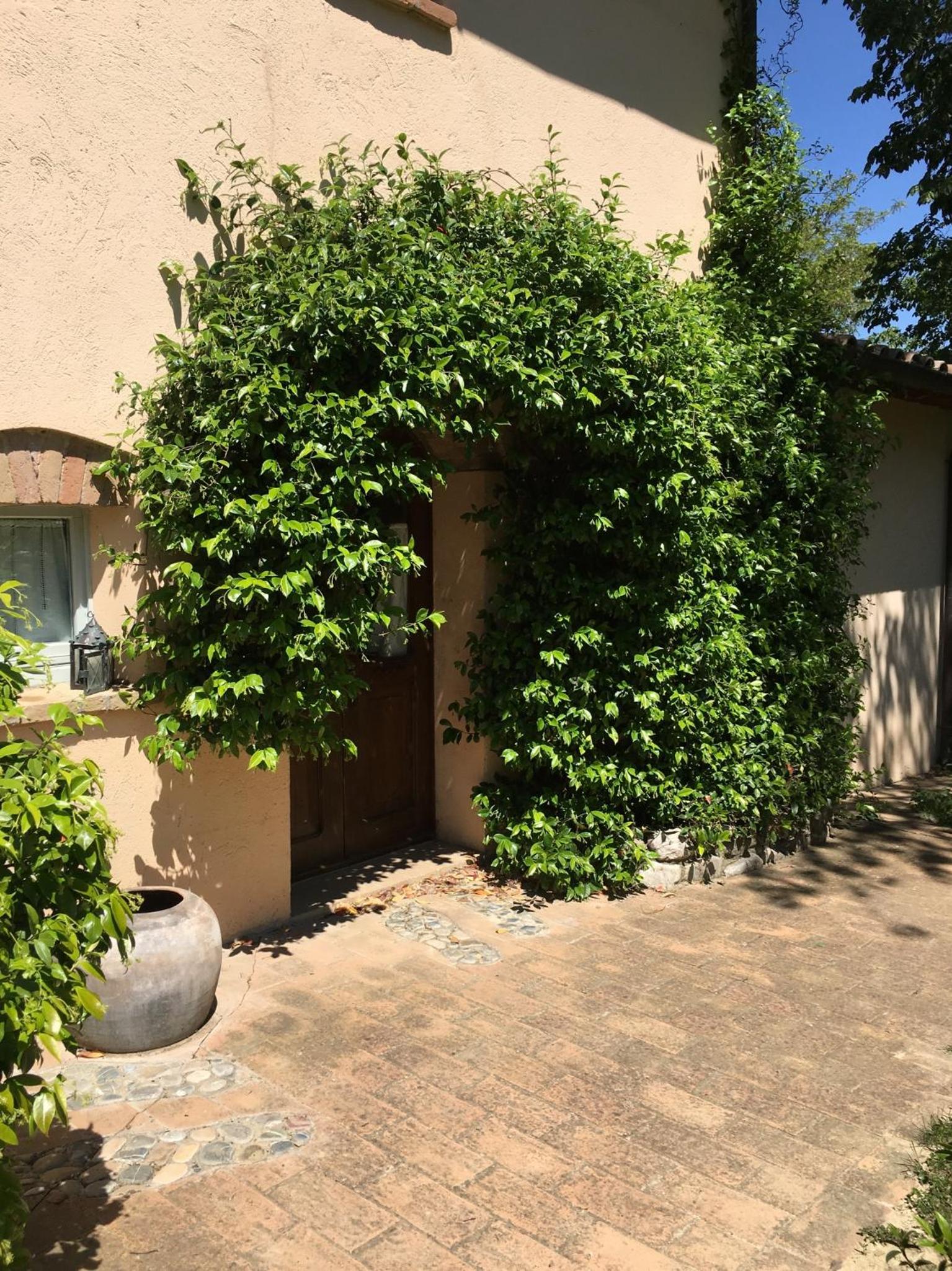 La Fratta Art - House, photo 14