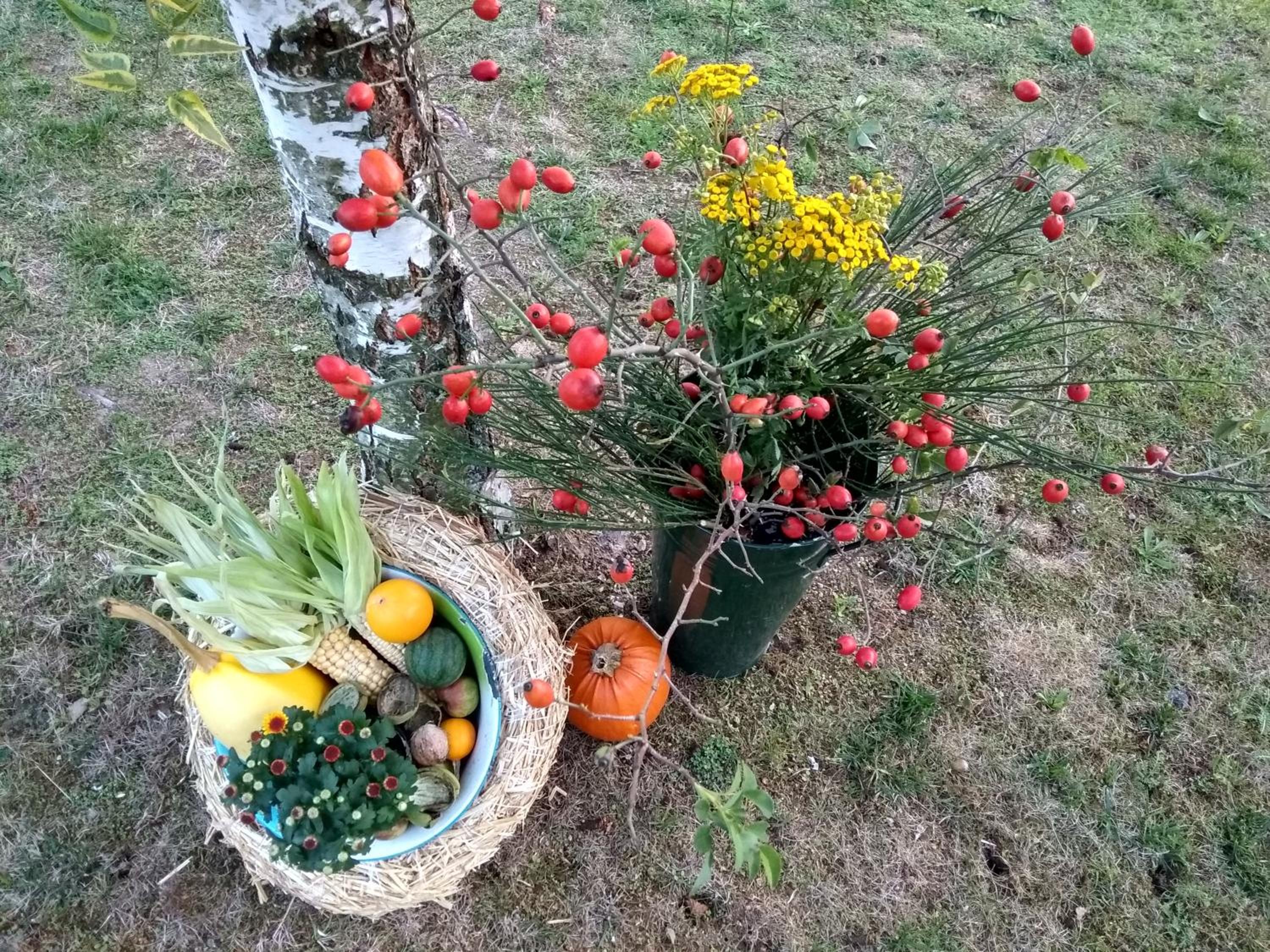 Villa Liduška s kavárnou