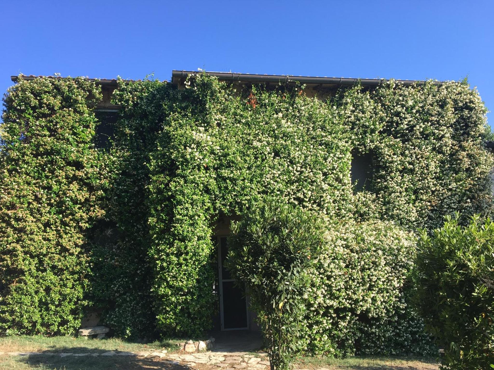 La Fratta Art - House