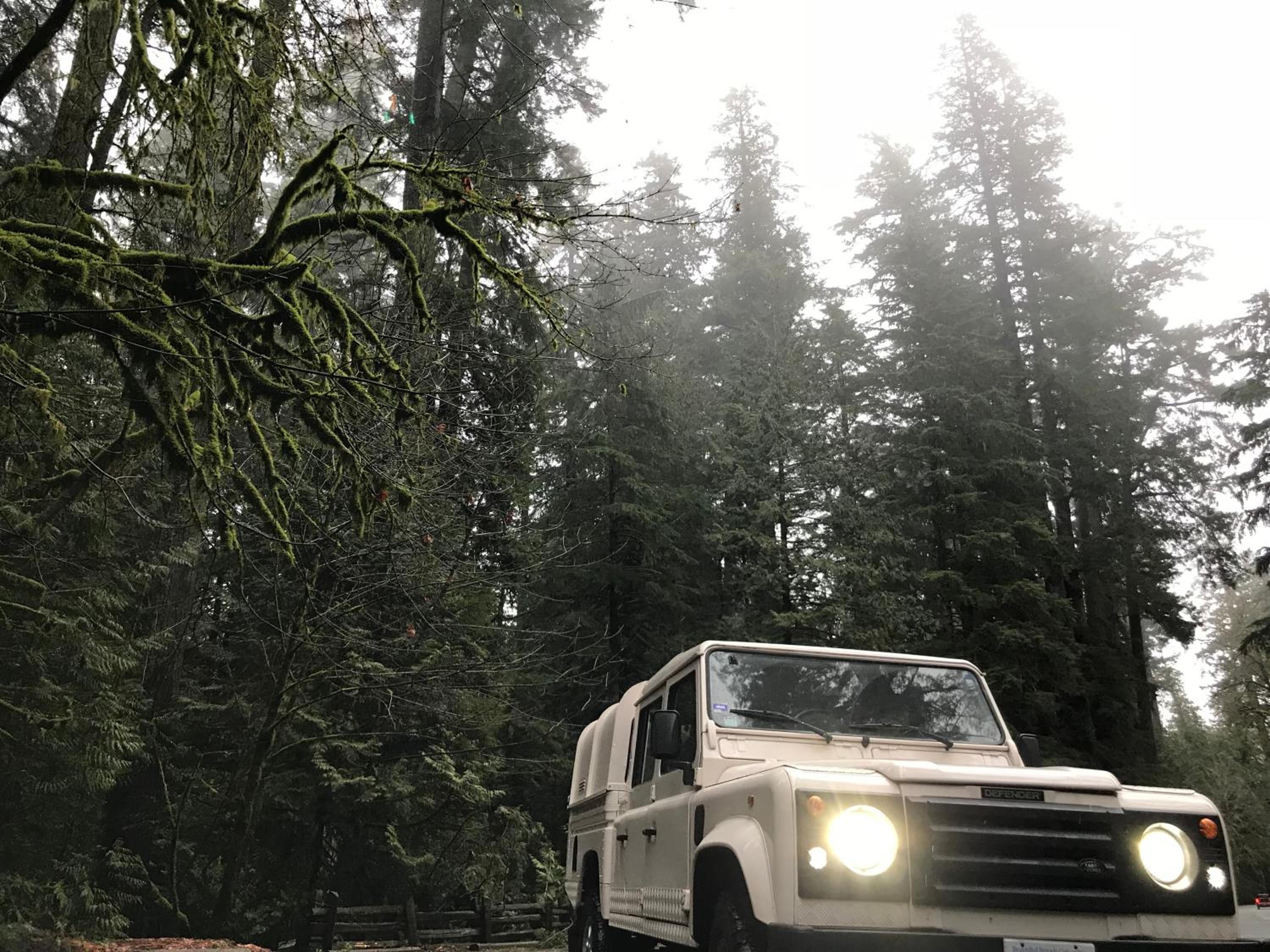 Tofino Vacations - Mackenzie Beach Resort - Property Image 42