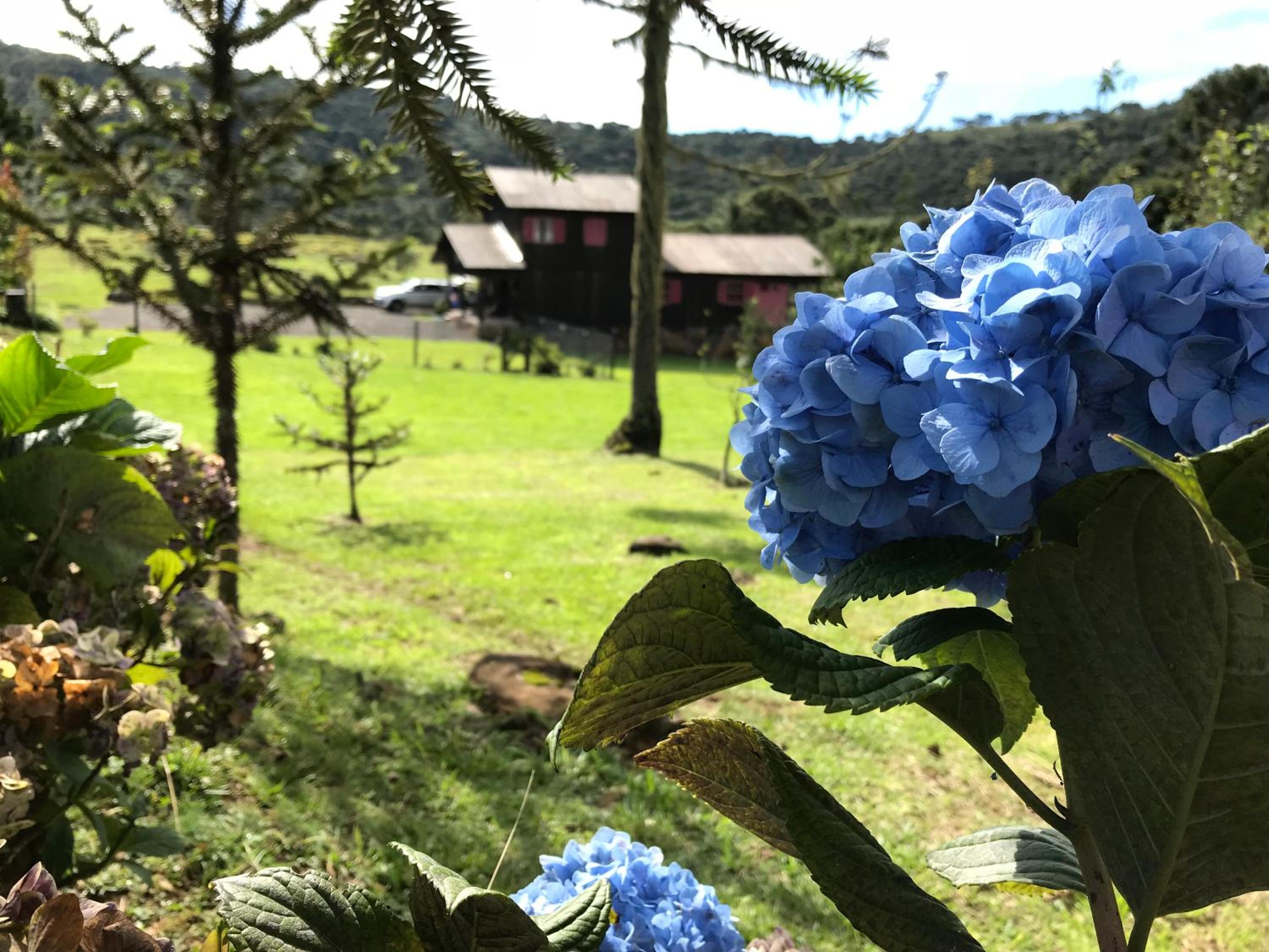 Estalagem Carucacas