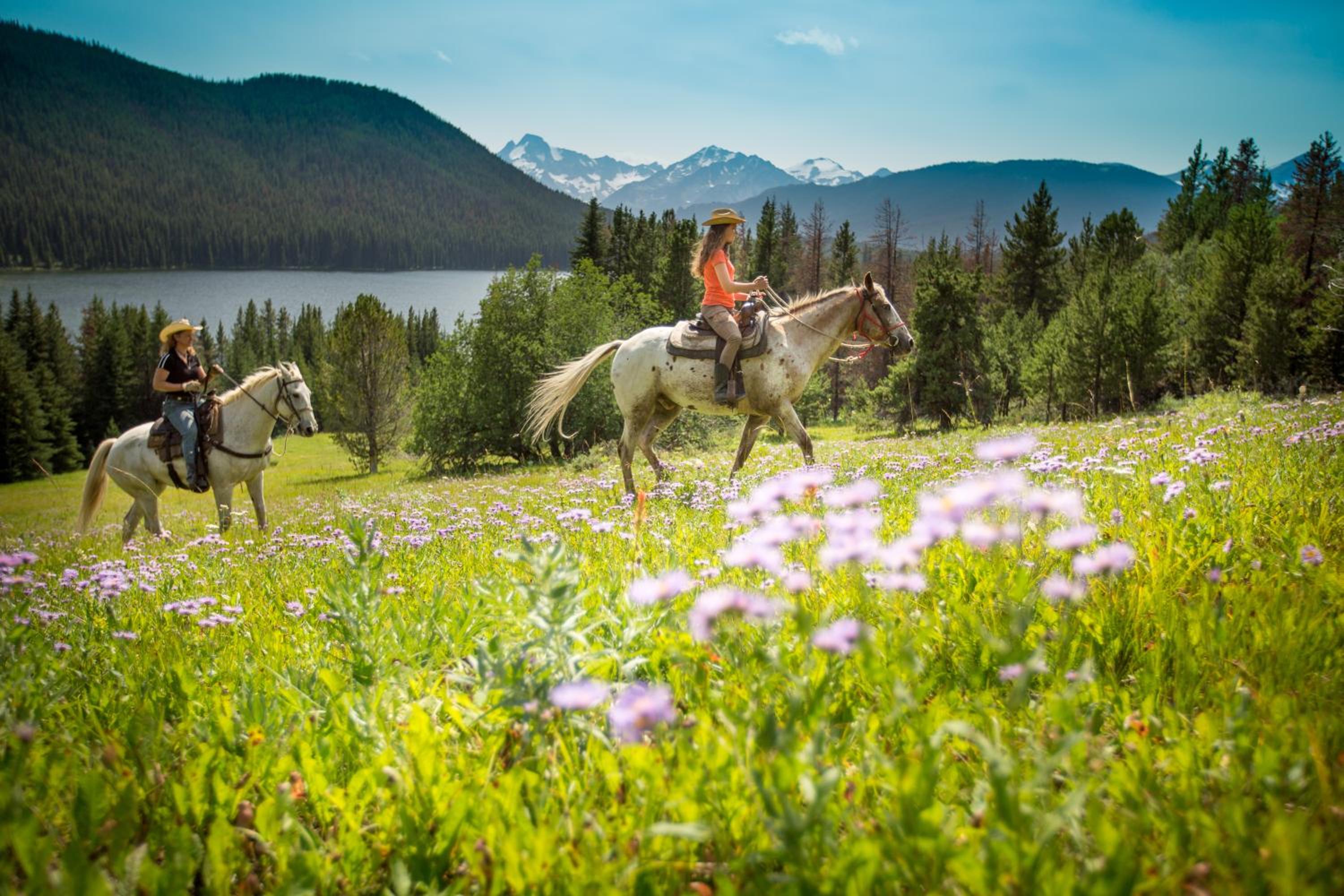 Tyax Lodge & Heliskiing