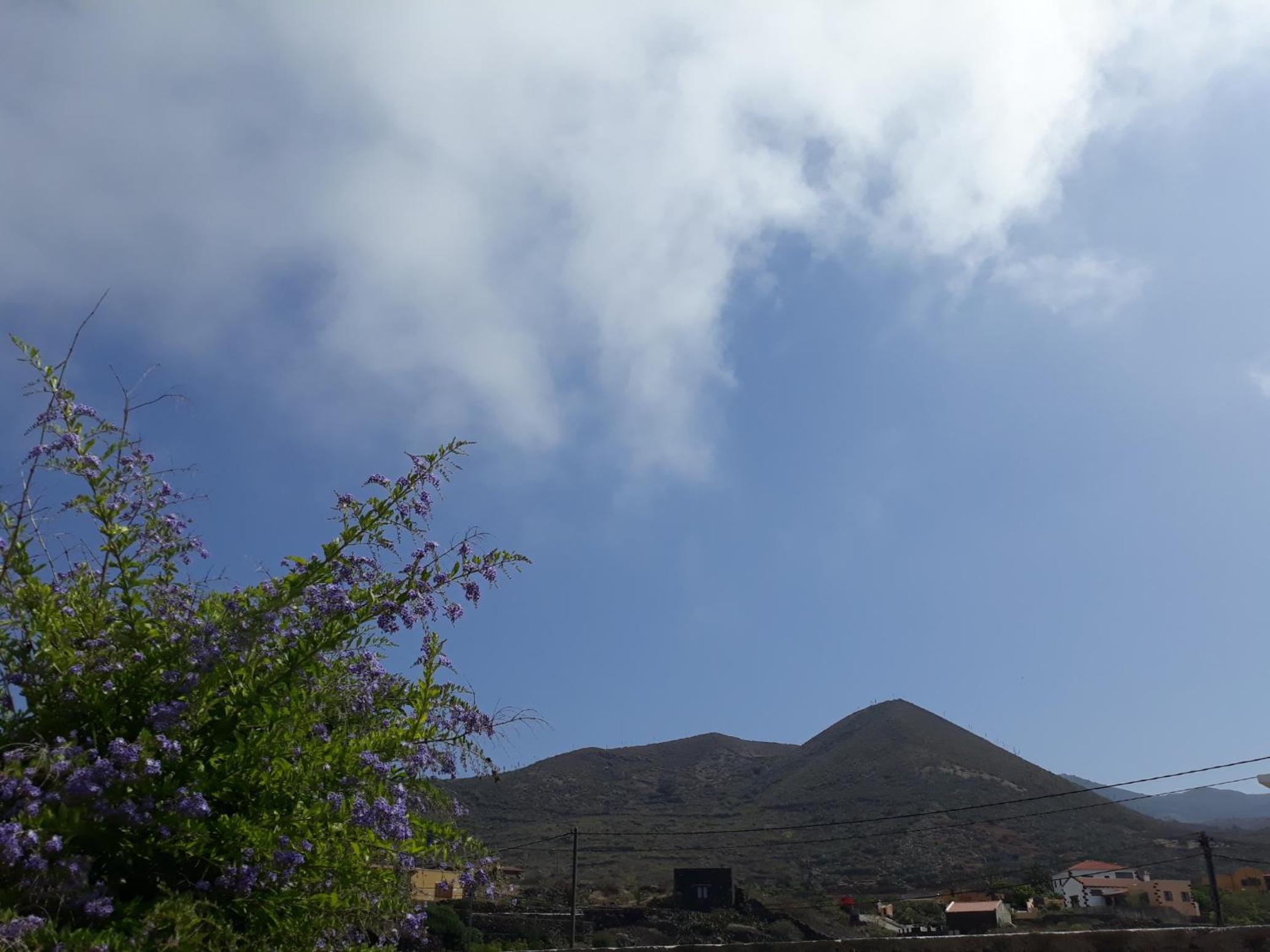 Photo 30
