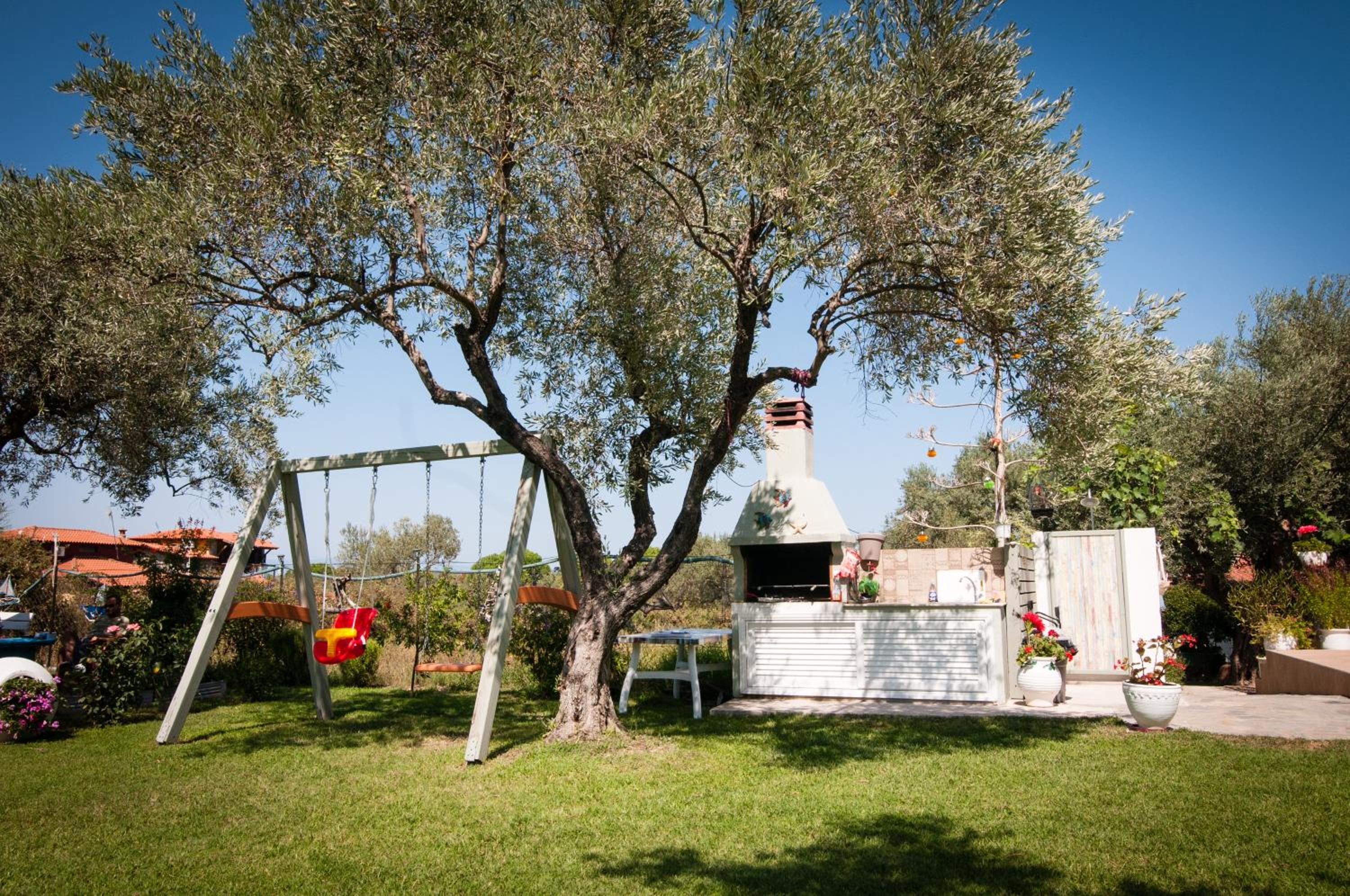 Photo 14