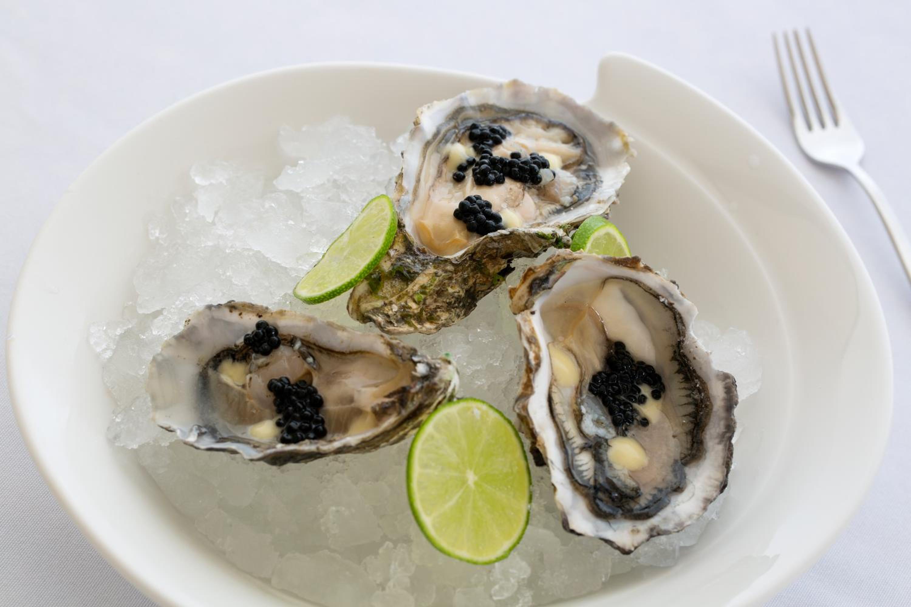 Royalton Riviera Cancun, An Autograph Collection All-Inclusive Resort  Casino - Property Image 37