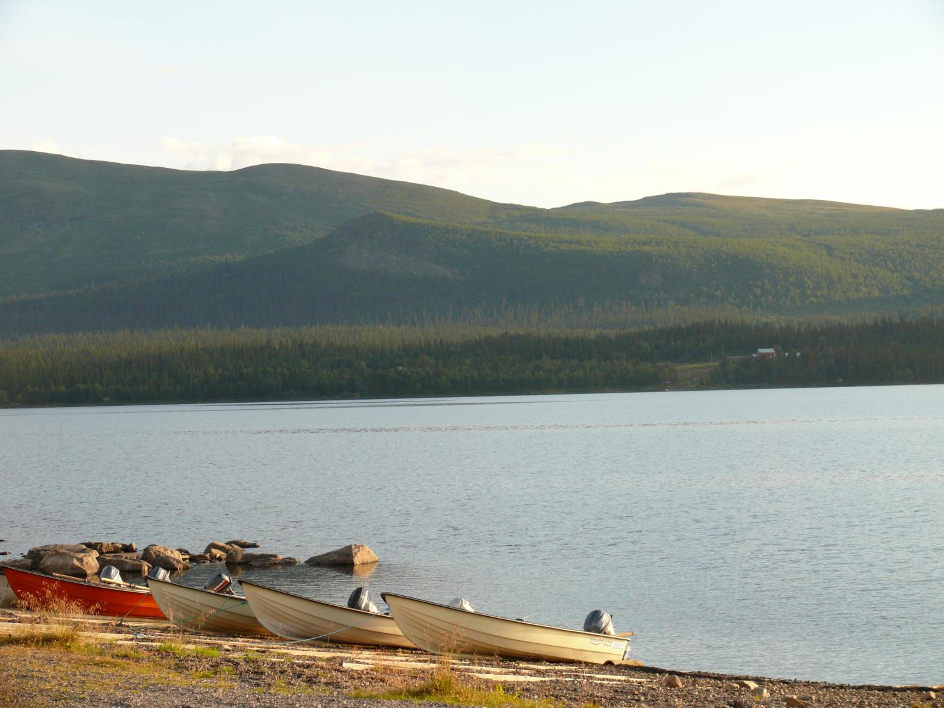 Photo 46