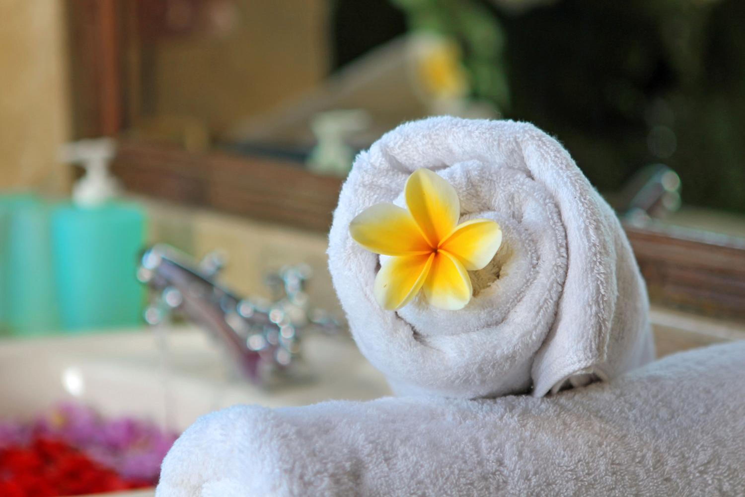 The Mahogany Villa Ubud