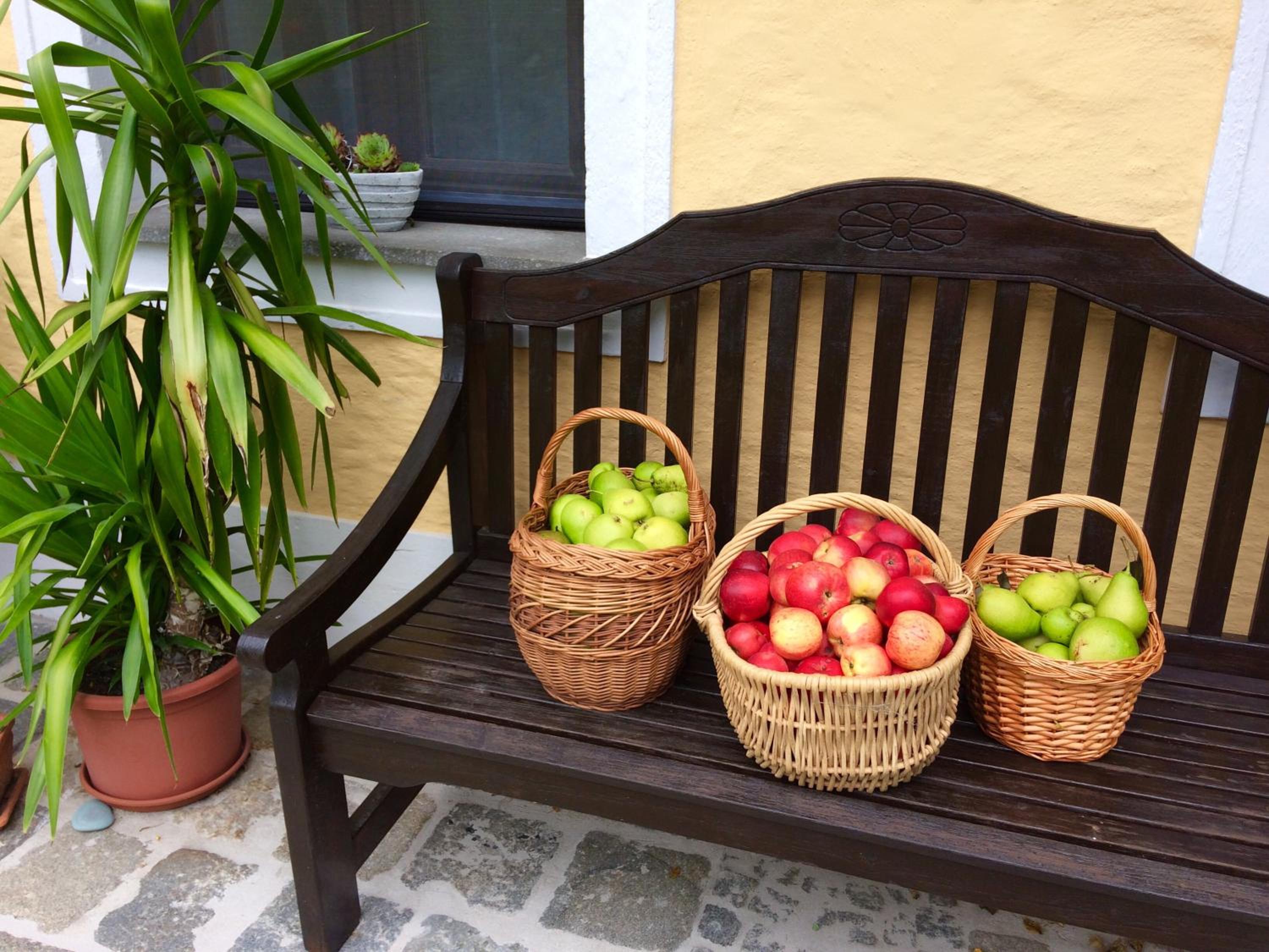 Naturoase Mühlviertel