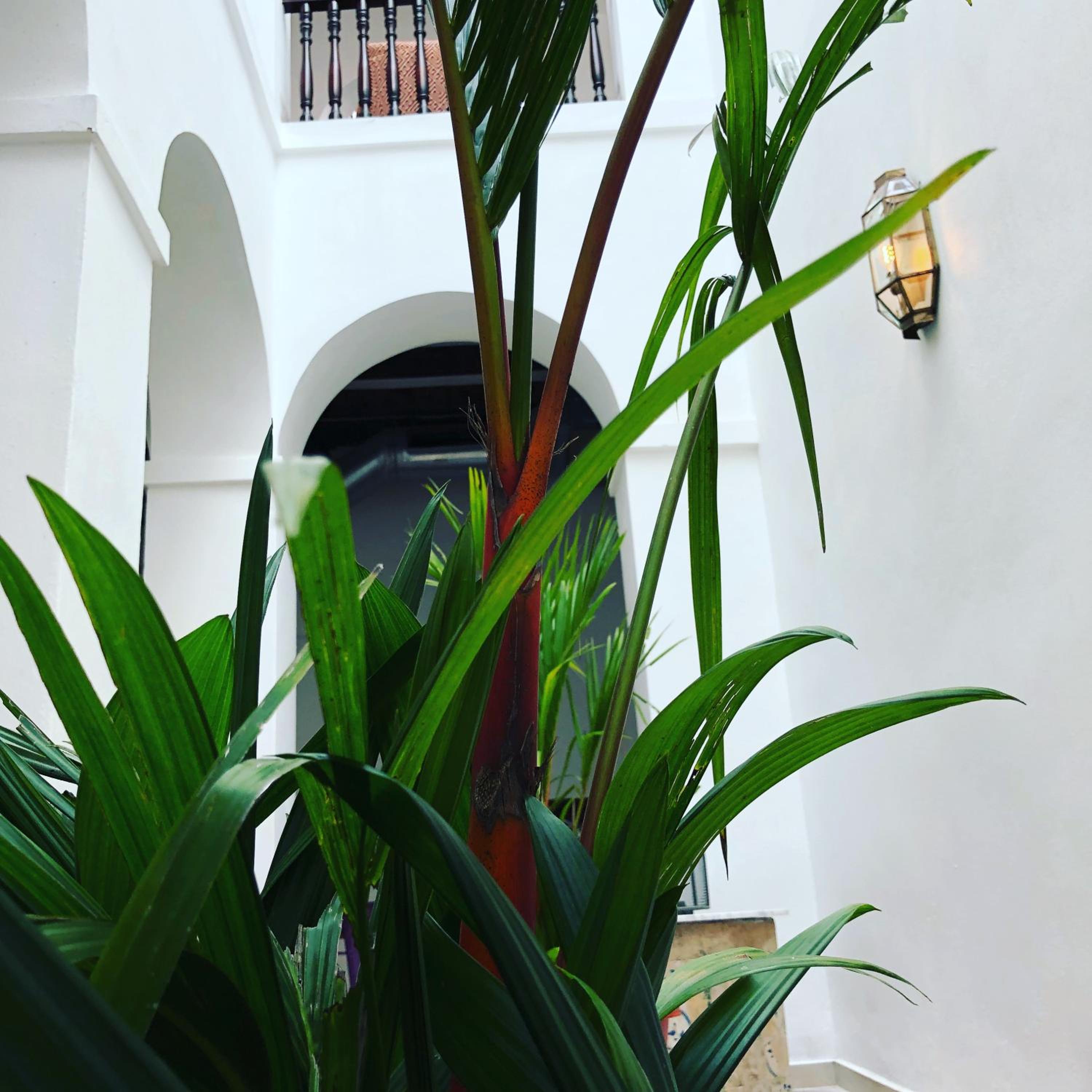 352 Guest House Hotel Boutique - Property Image 79