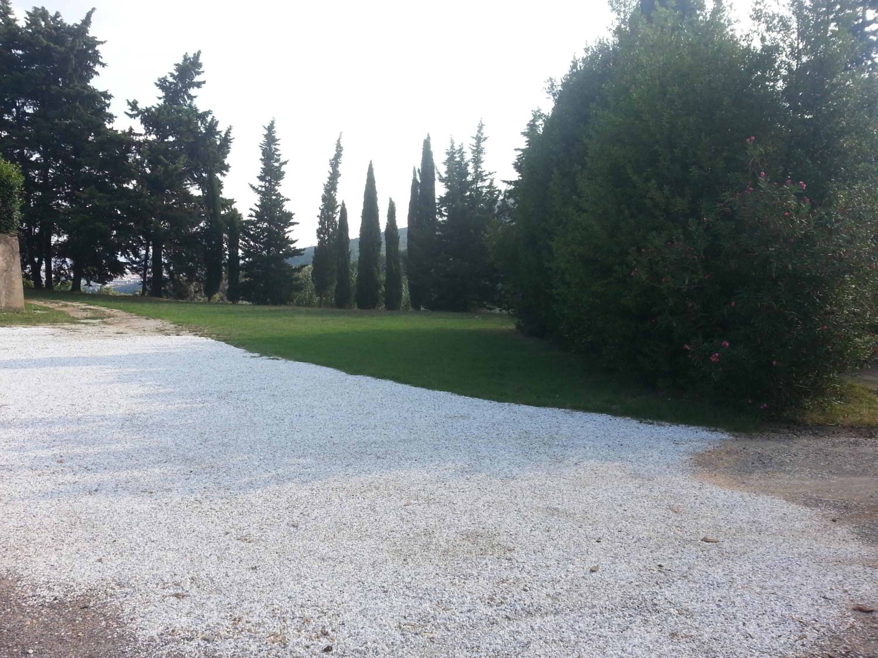 Photo 51