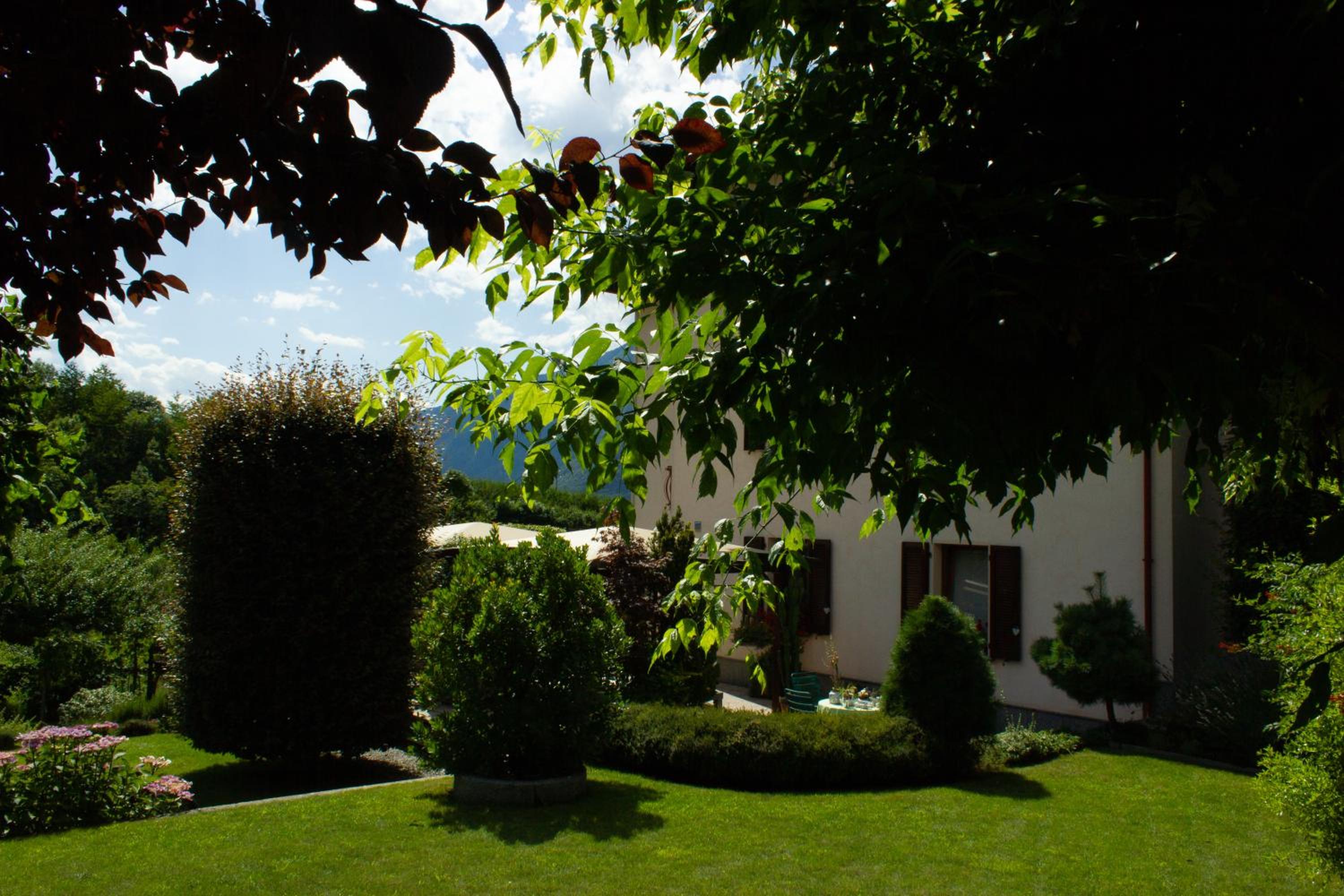 Photo 7