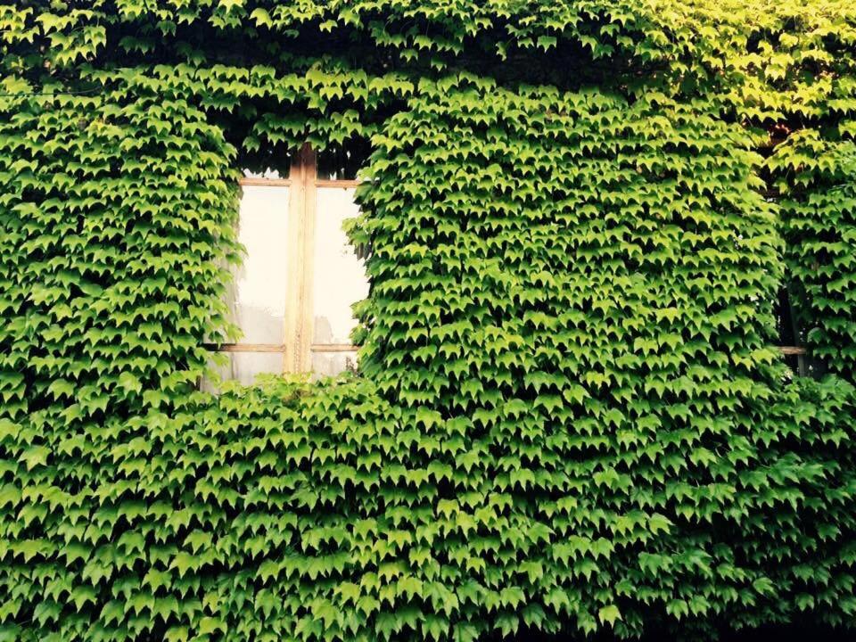 Green House view 2