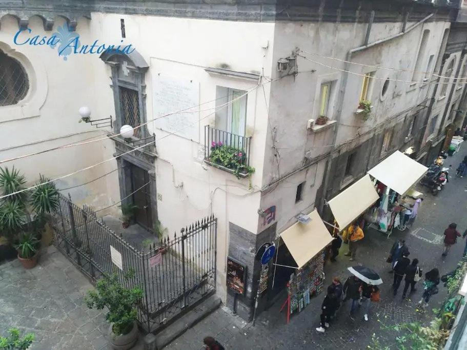 Casa Antonia