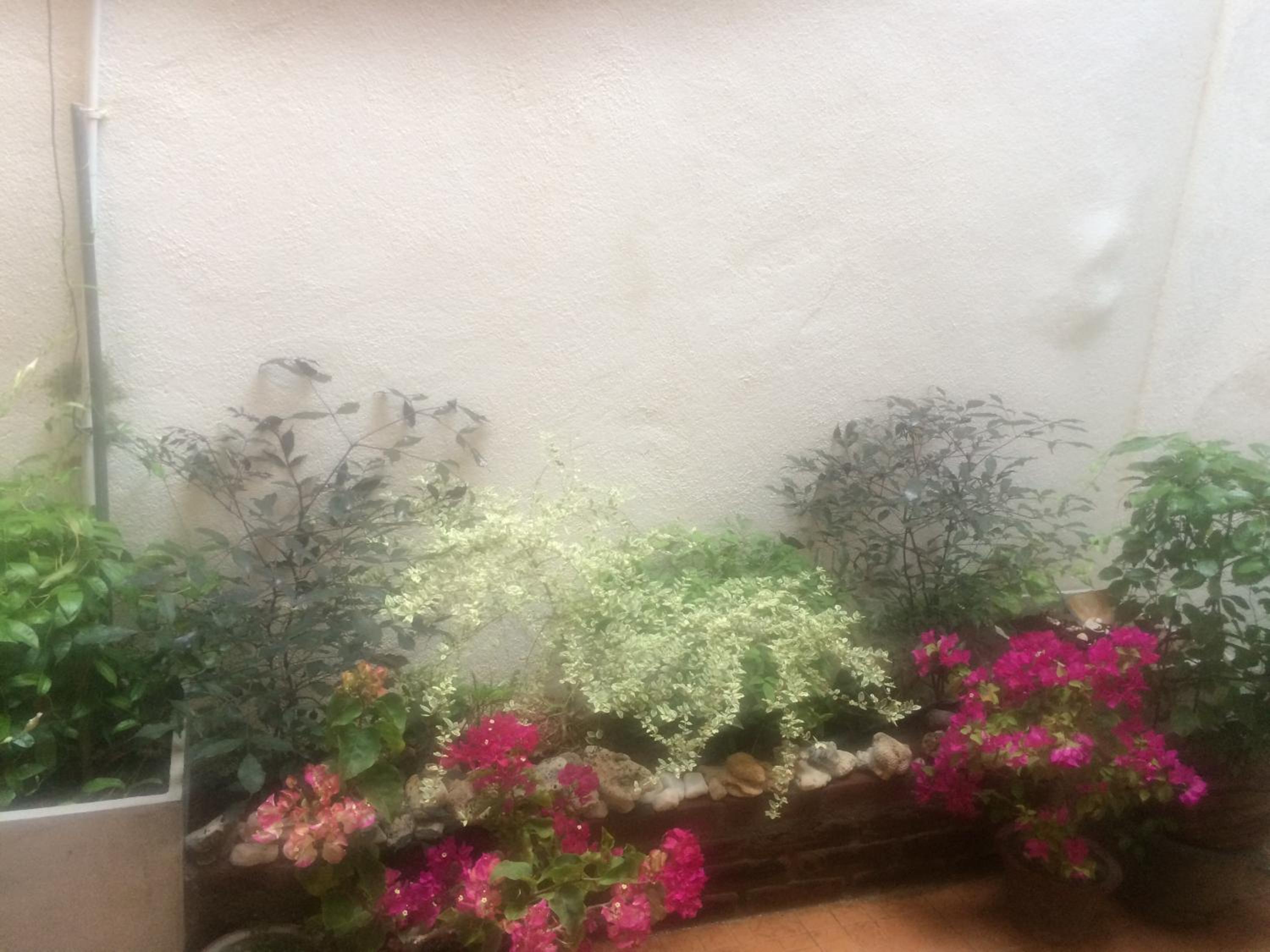 Secret Palace Guest house