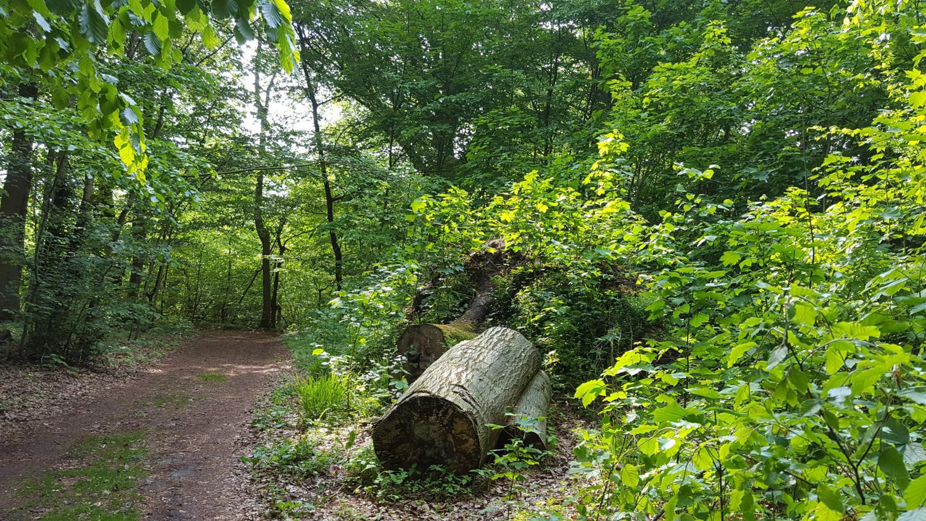 Kunst Pension Frahm