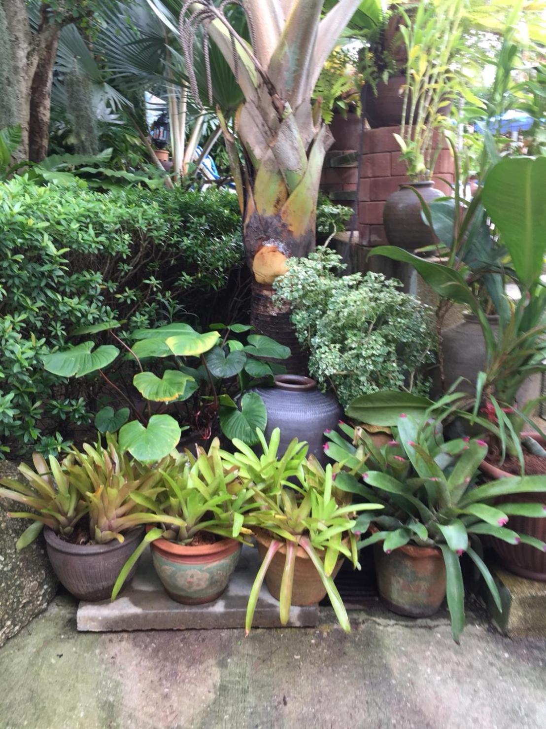 Baan Vanida Garden Resort