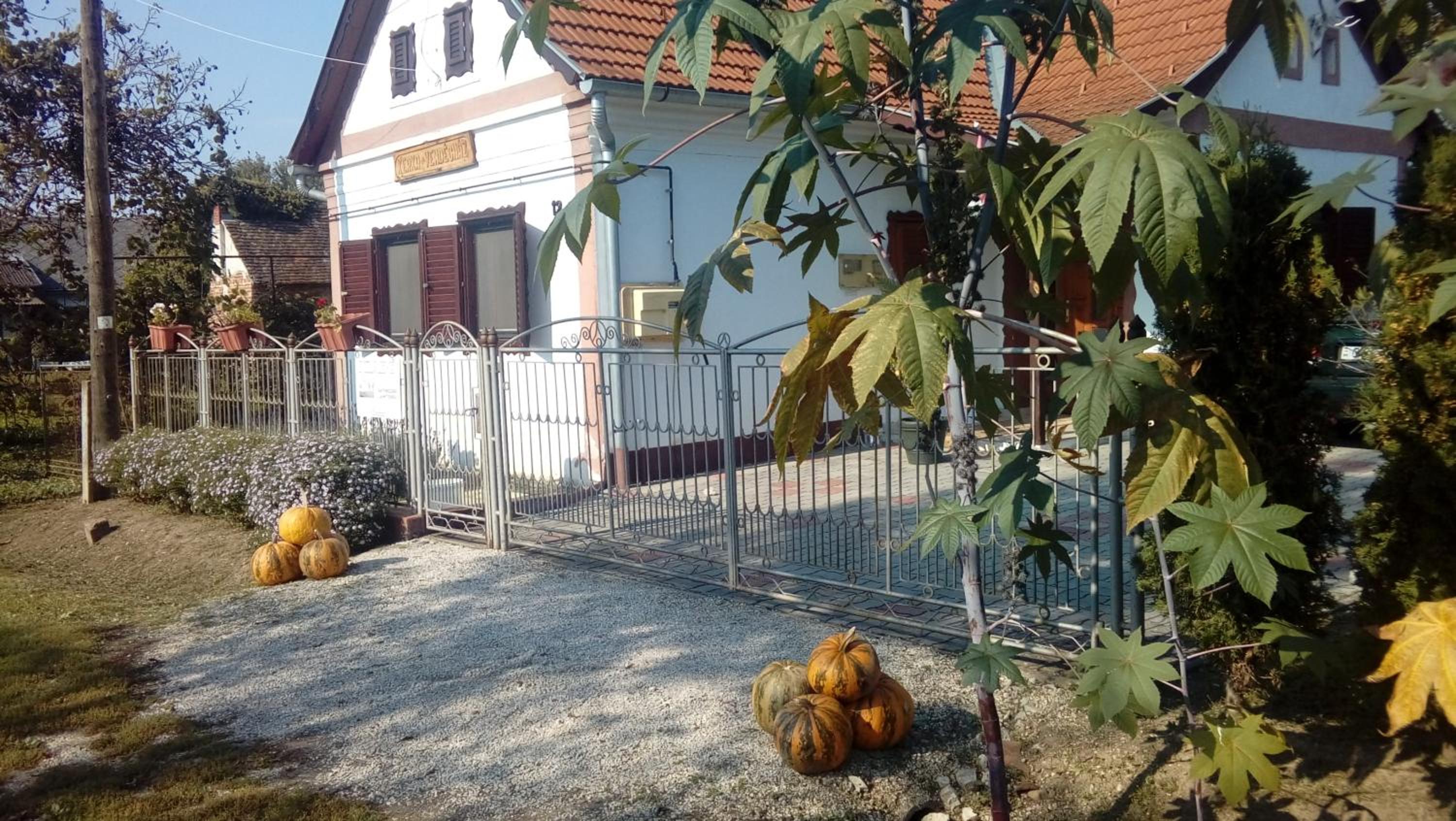 Photo 8