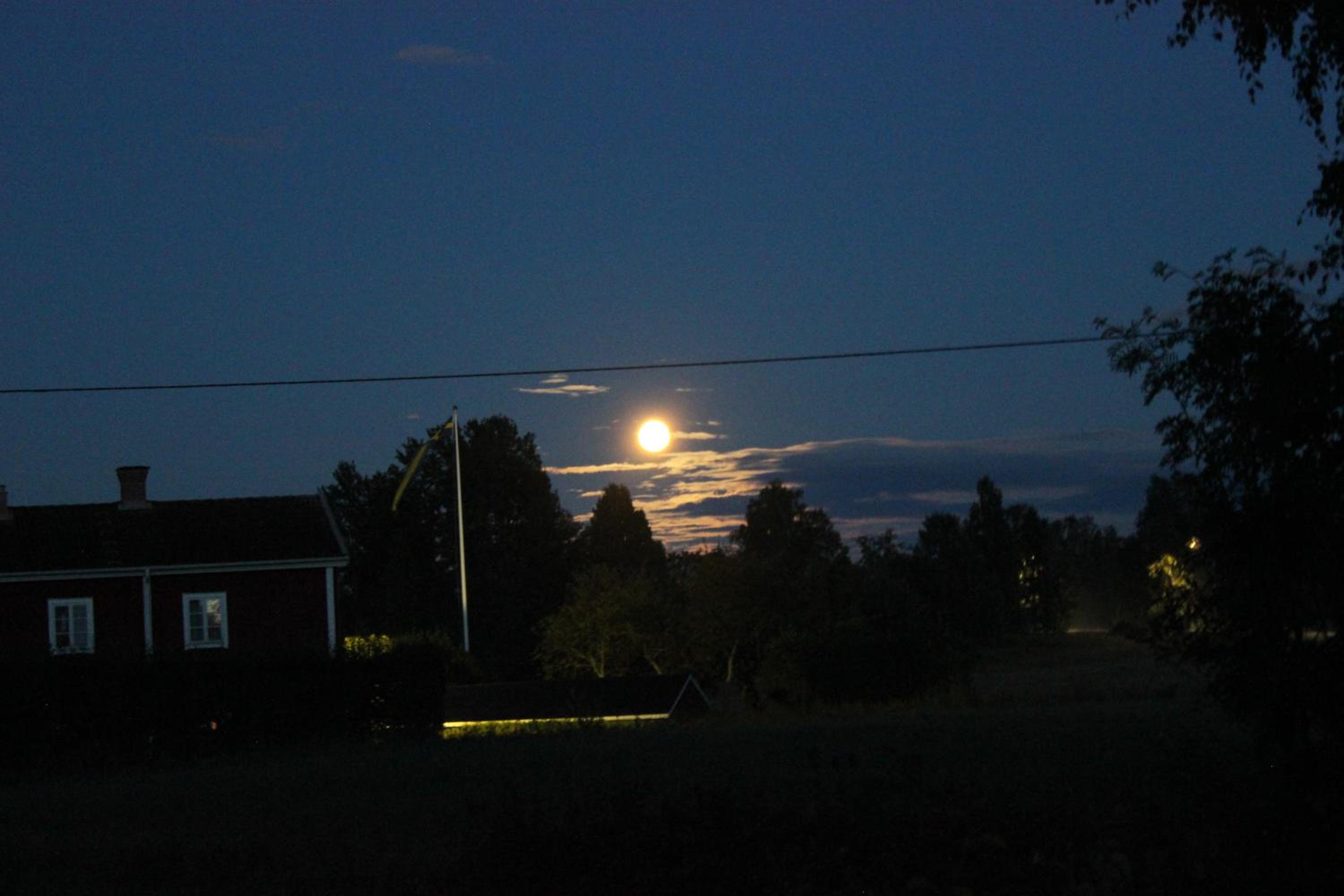 Photo 53