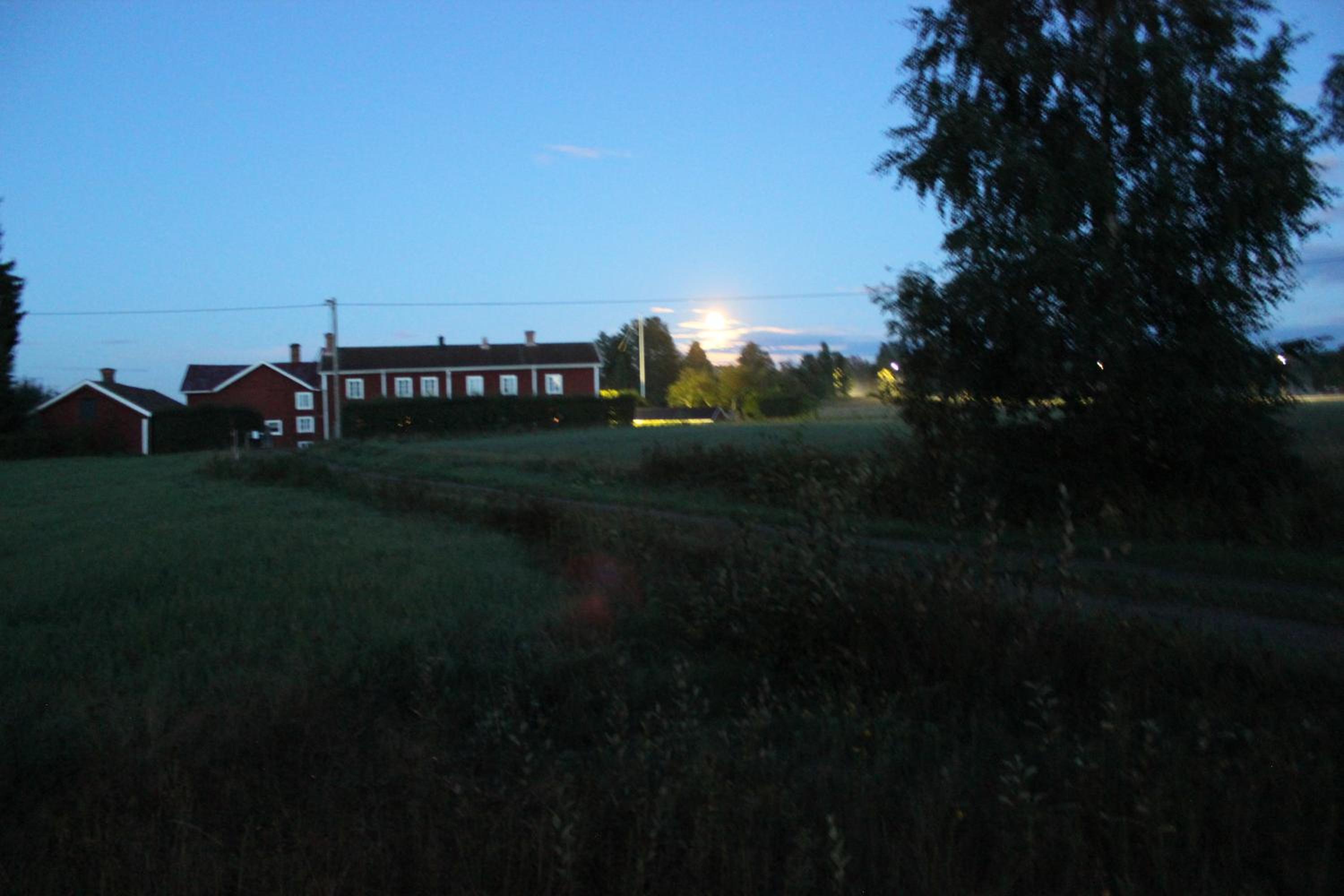 Photo 52