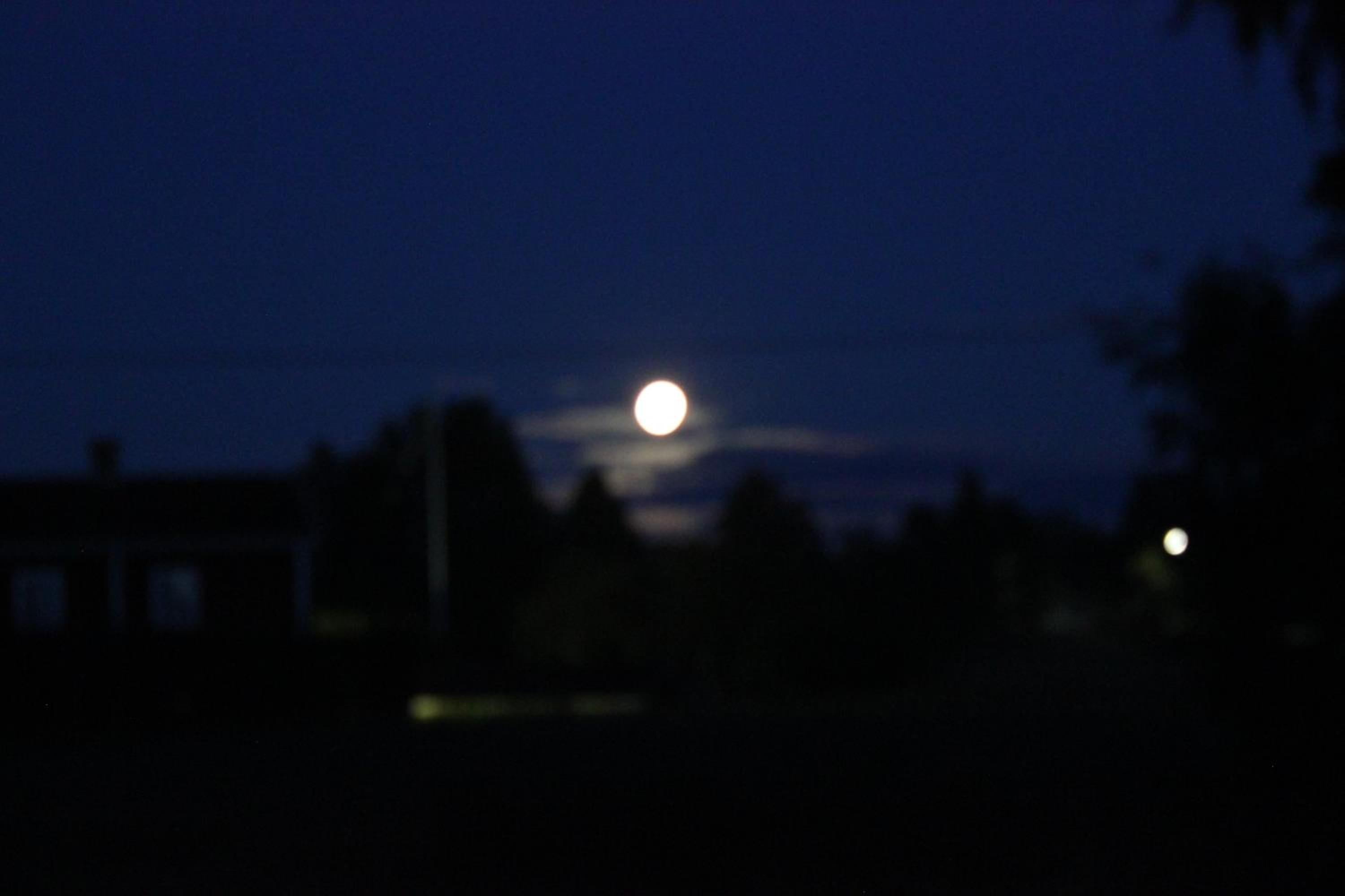 Photo 51
