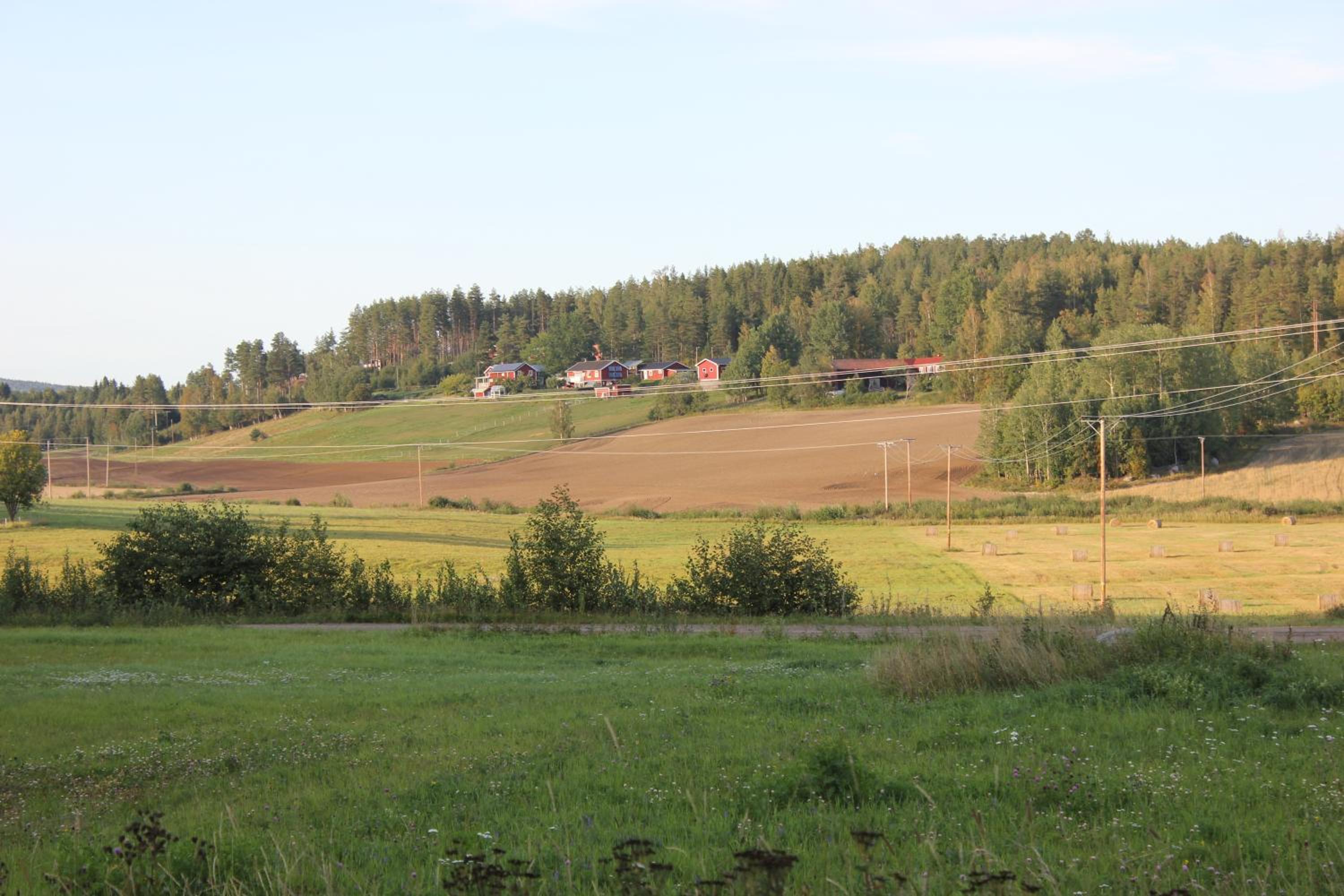 Photo 50