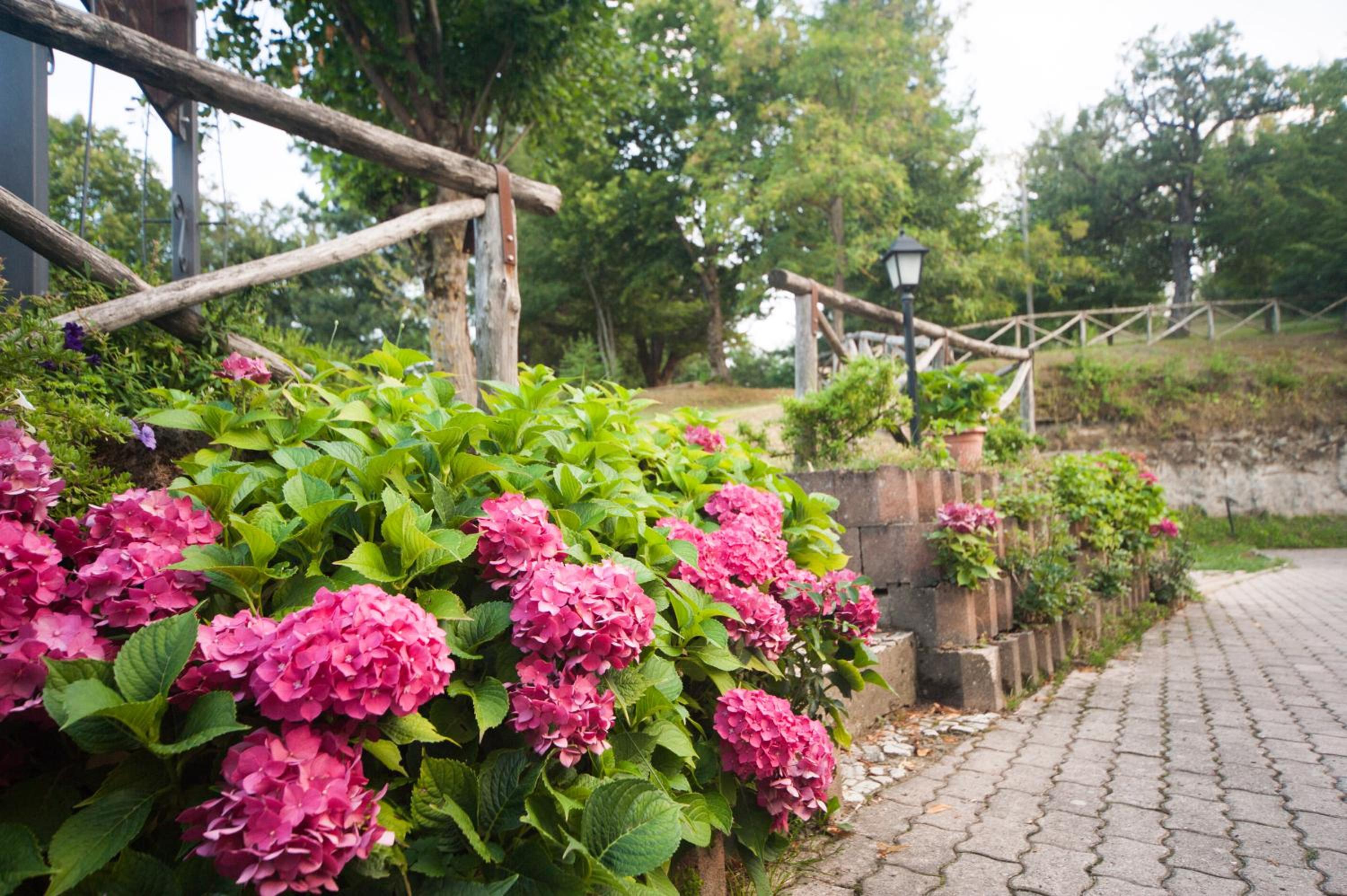 Il Castagno - Property Image 19