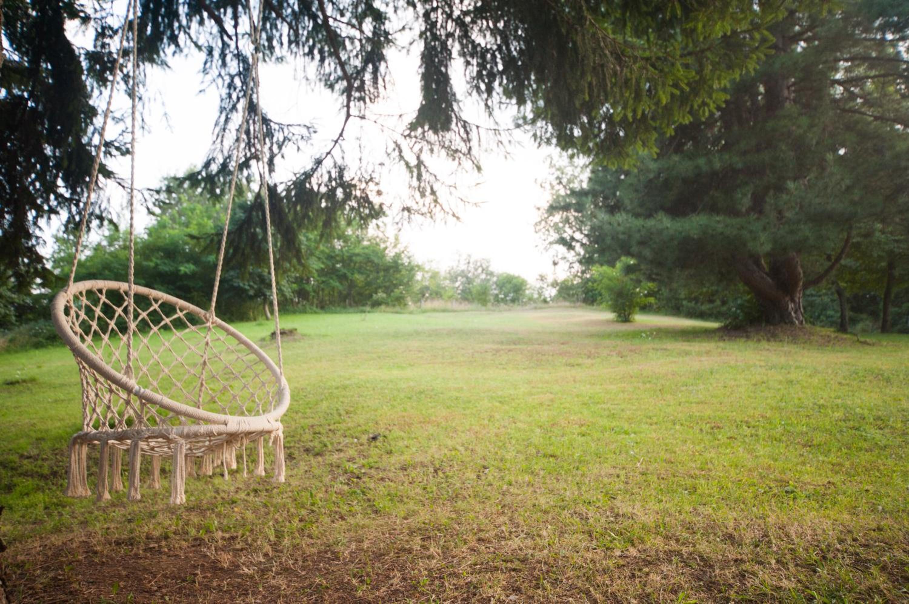 Il Castagno - Property Image 3