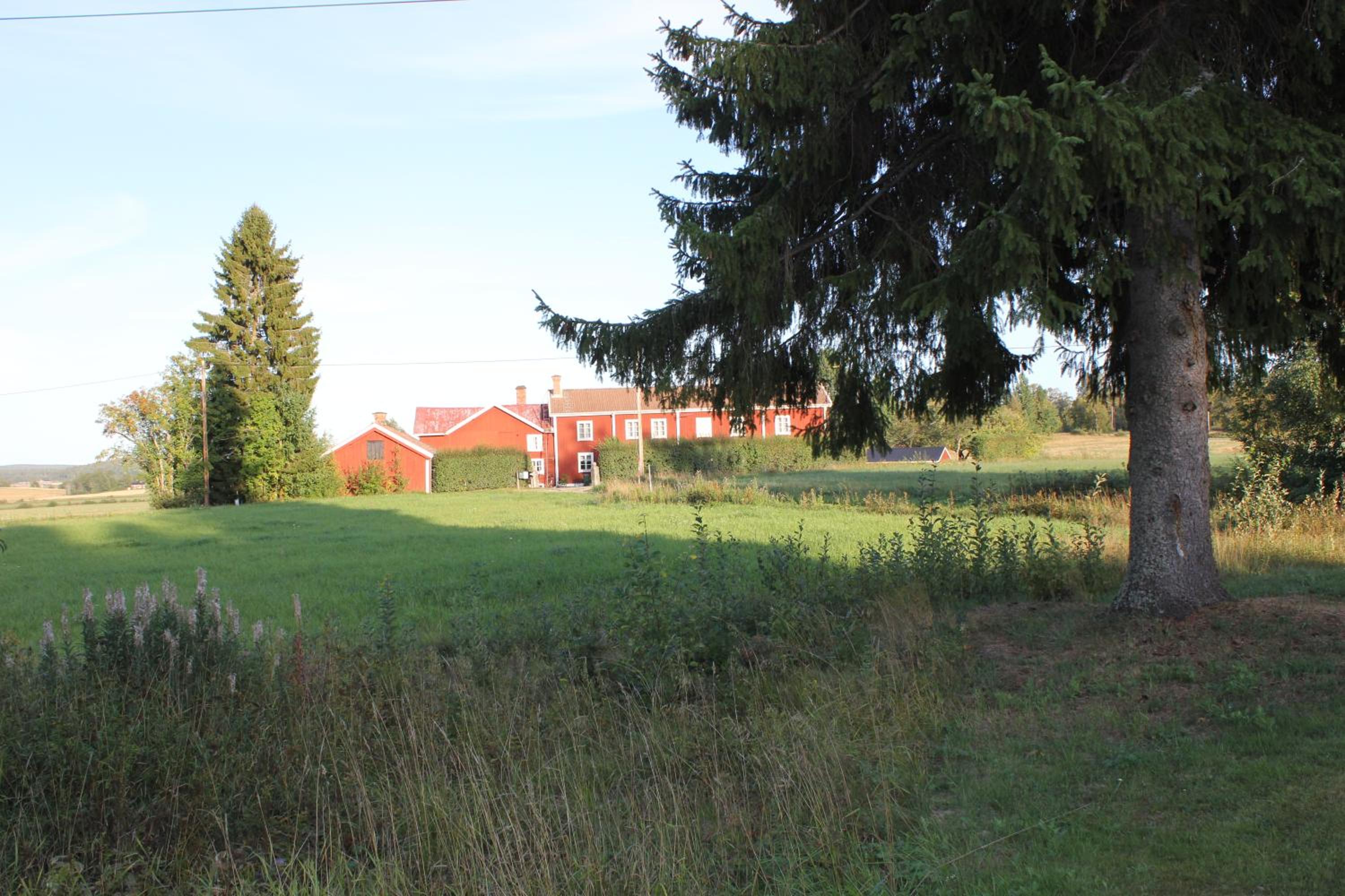 Photo 47