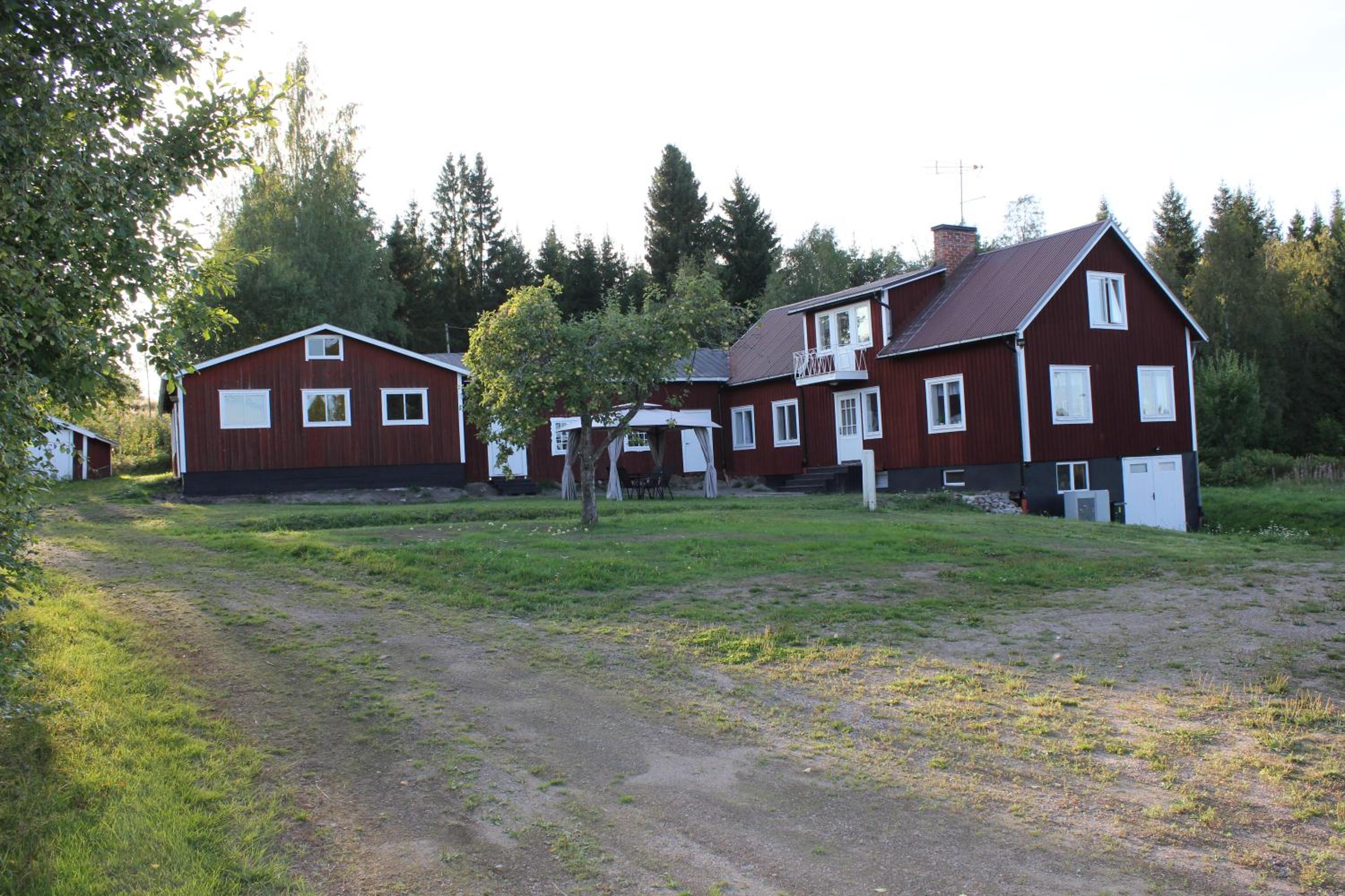 Photo 45