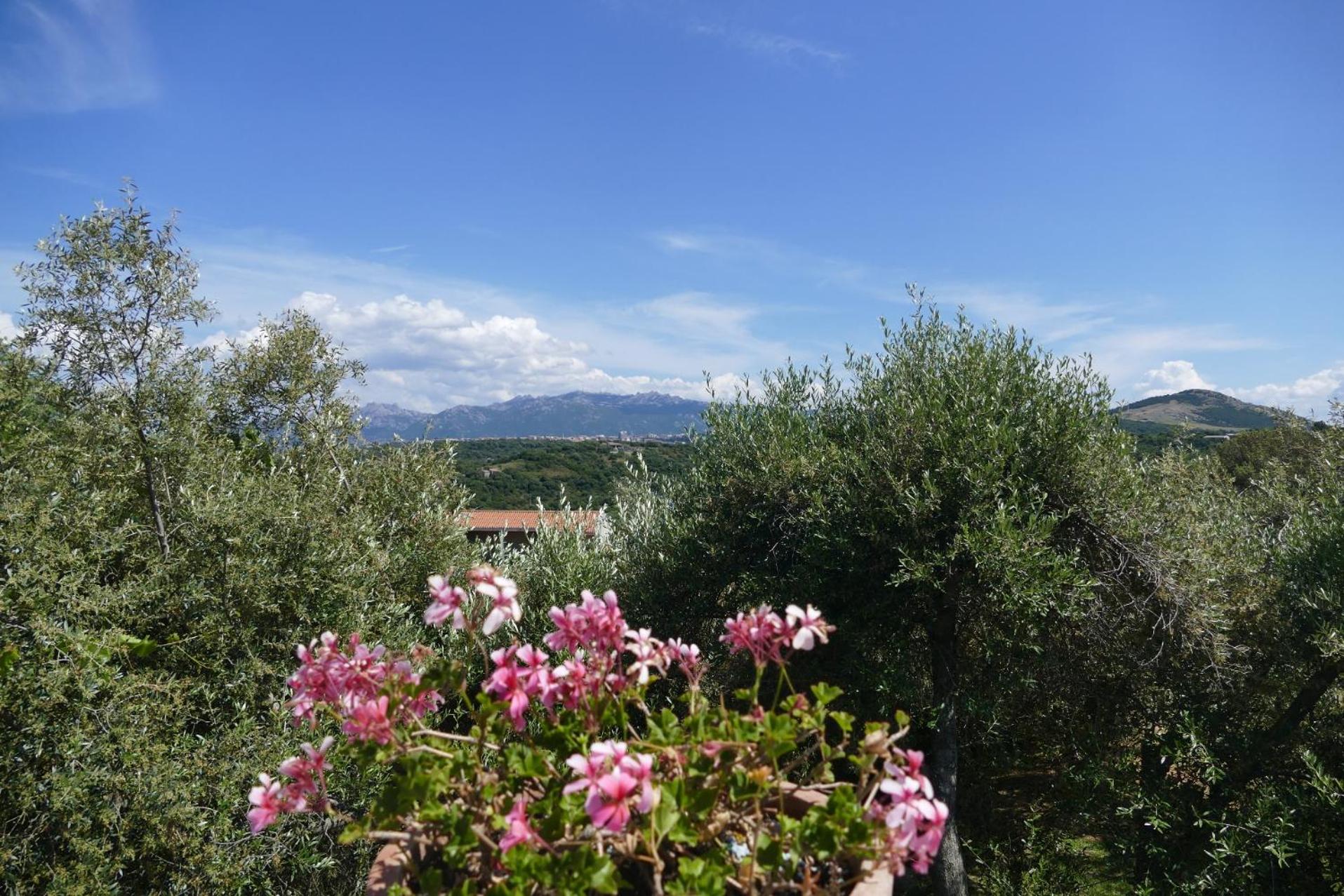 La Vignaredda - Residenza di Charme