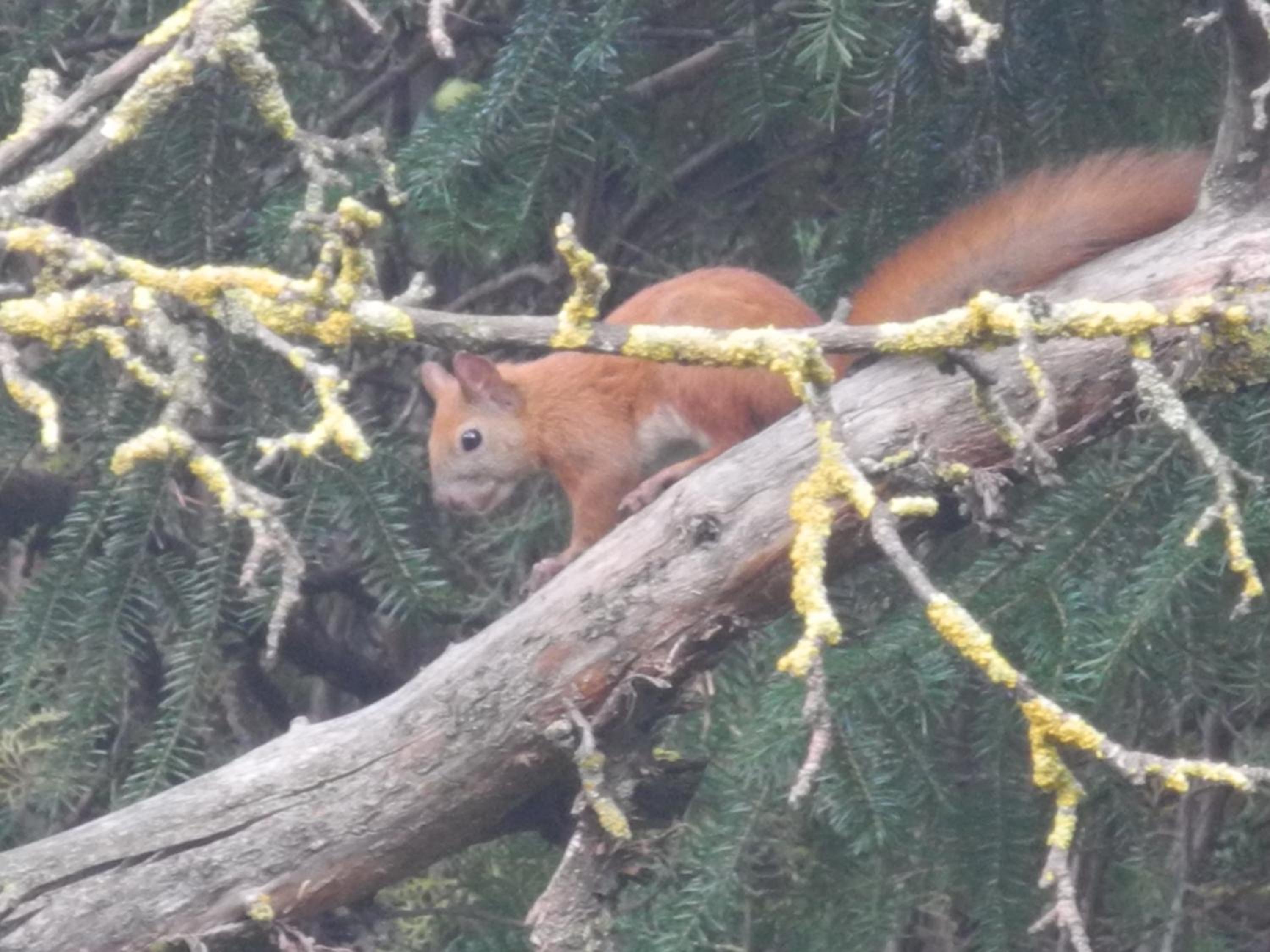 Photo 88