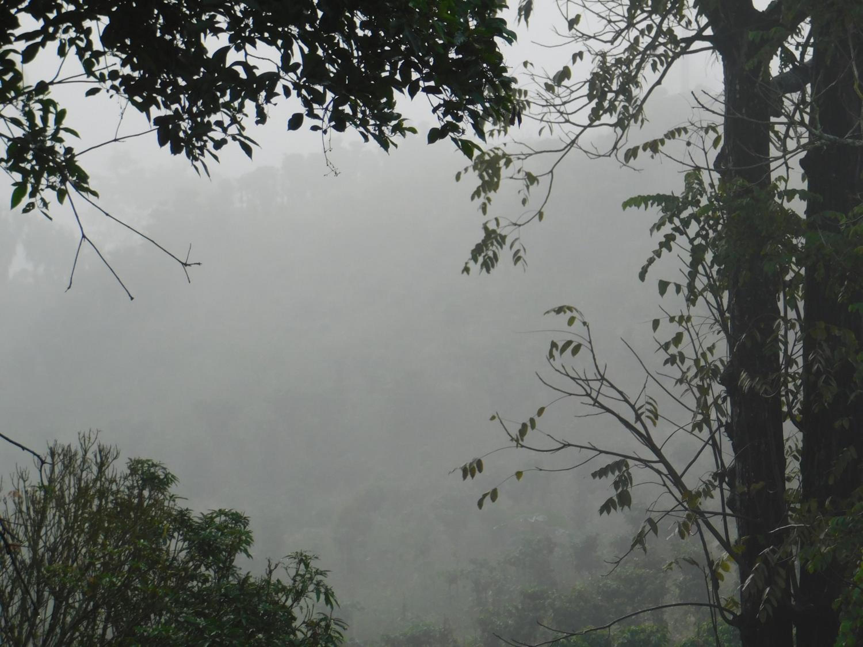 Casa Campo alojamiento campestre para descanso en Calarcá Quindío