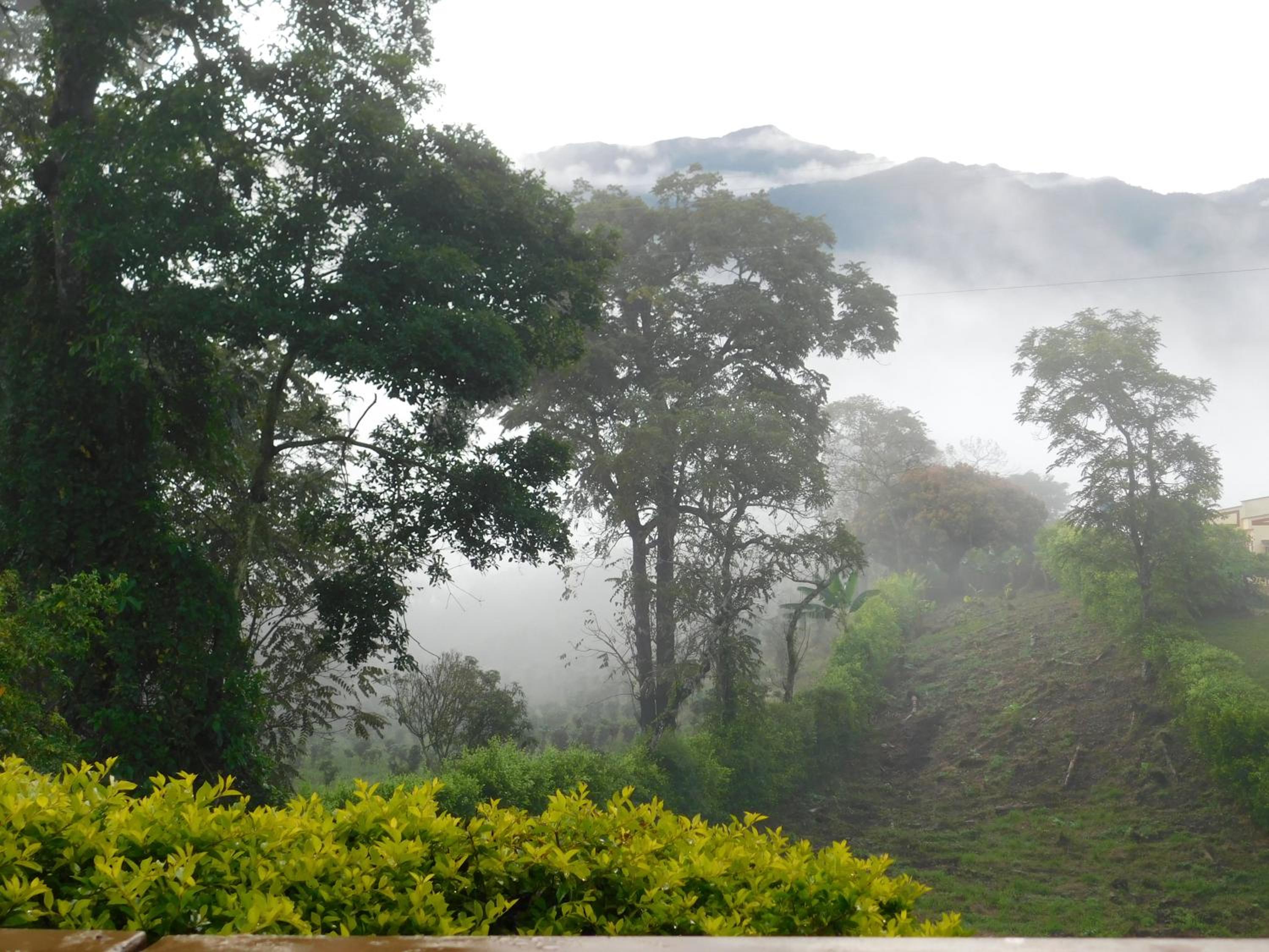 Casa Campo alojamiento campestre para descanso en Calarcá Quindío